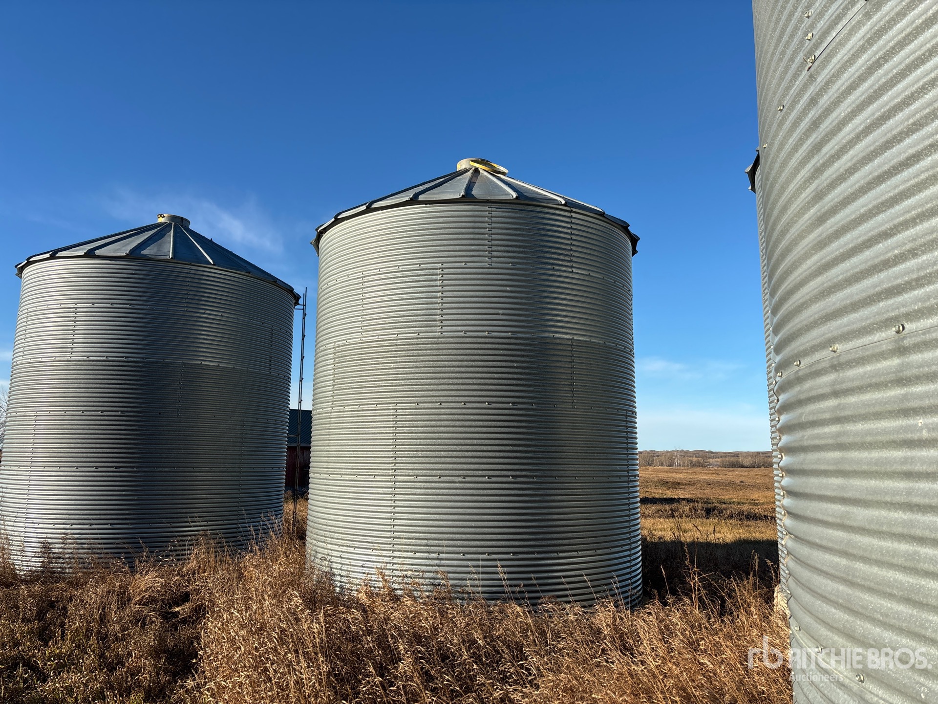 General Appearance with Foto, angolo anteriore sinistro