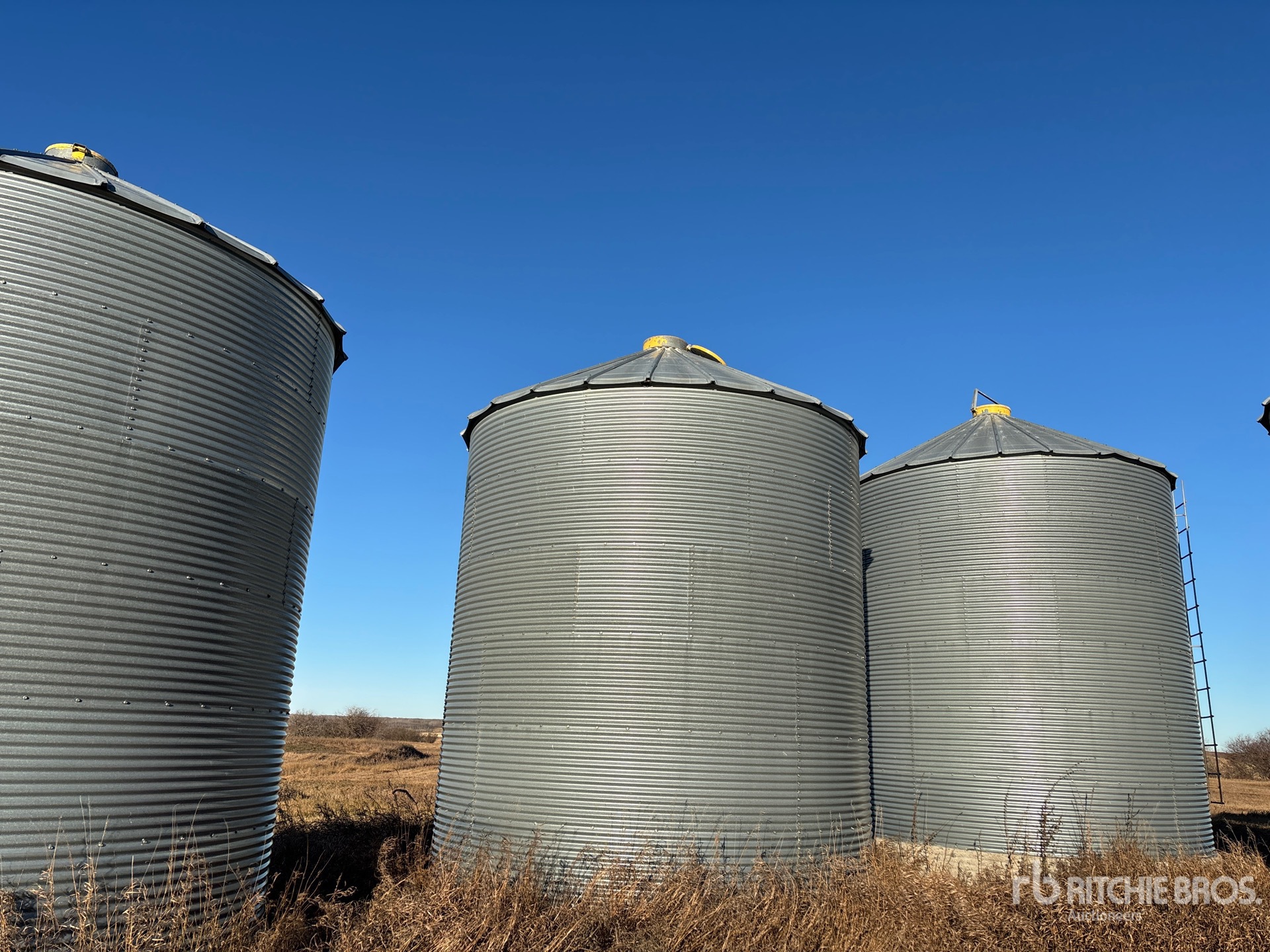 General Appearance with Foto, angolo posteriore sinistro