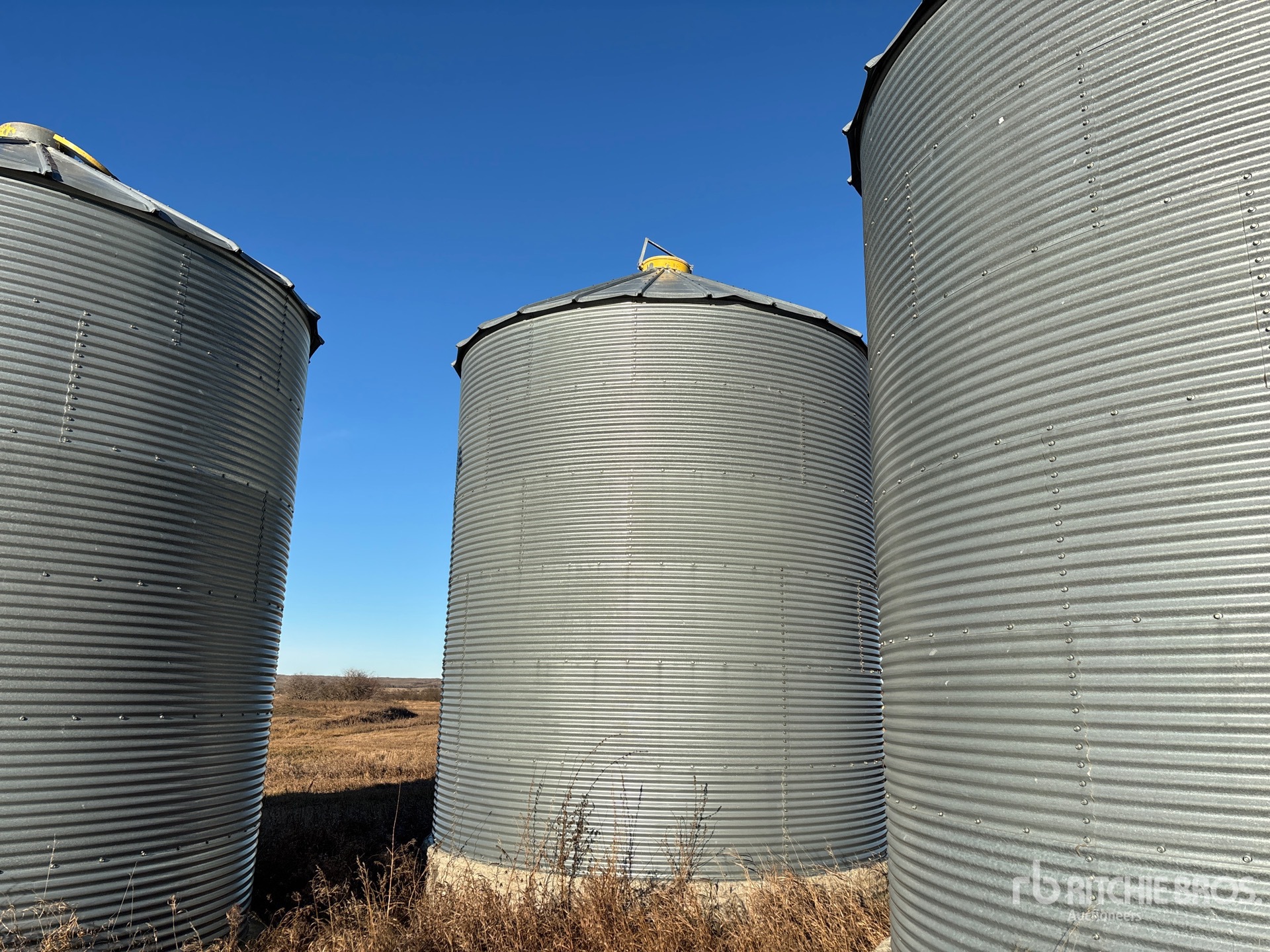 General Appearance with Foto, angolo anteriore sinistro