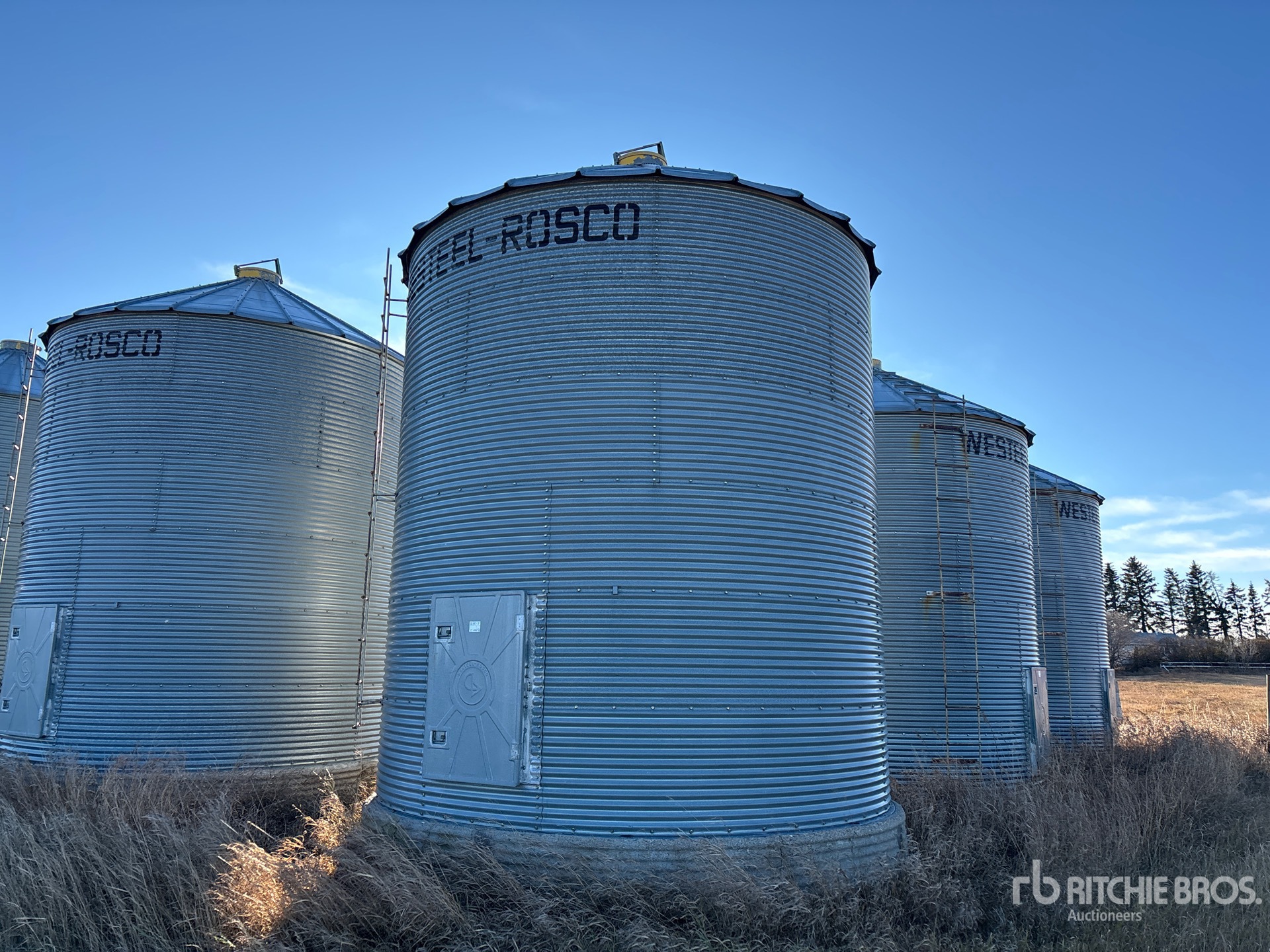 General Appearance with Foto, angolo anteriore sinistro