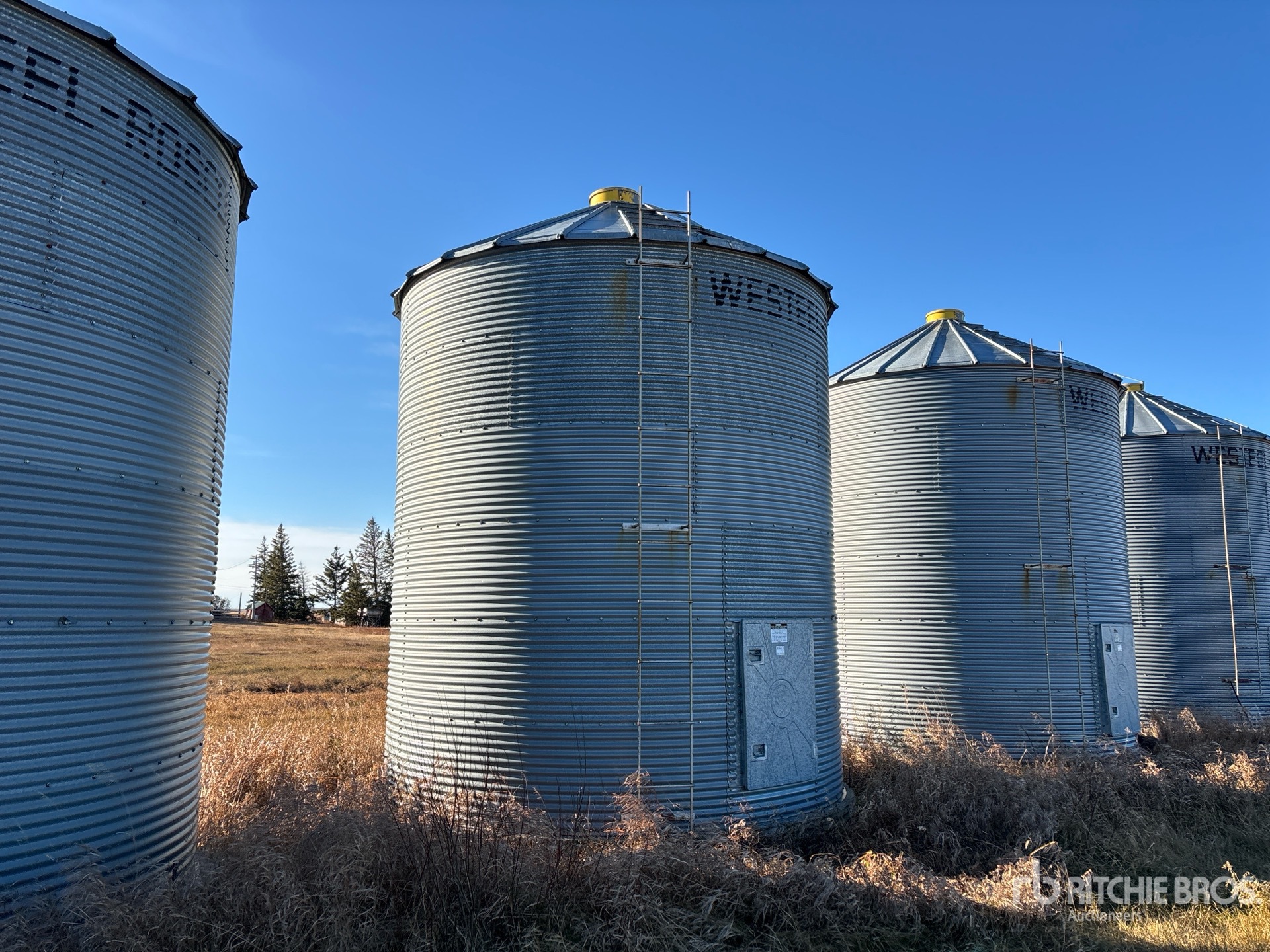 General Appearance with Image, coin avant droit