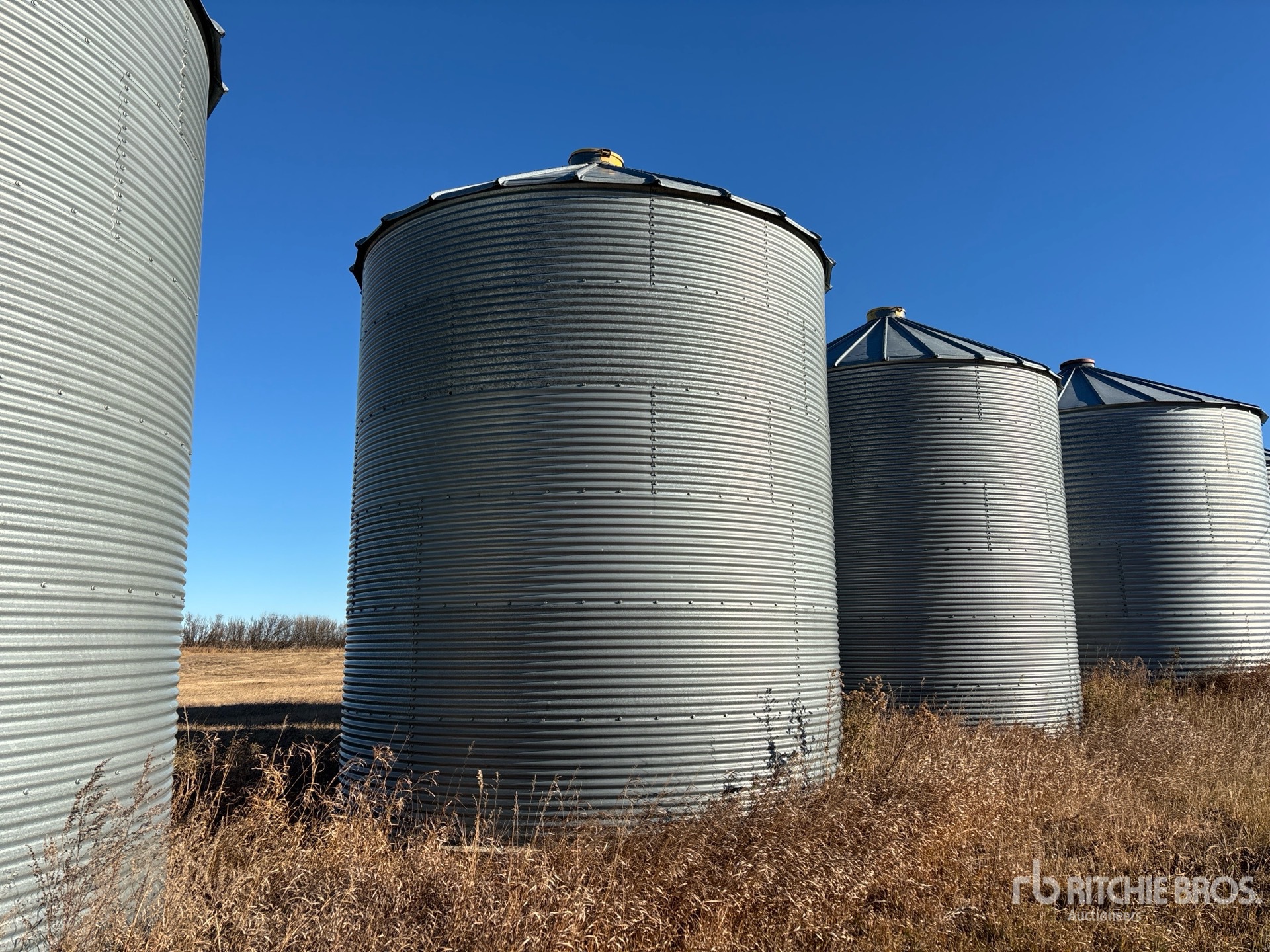 General Appearance with Image, coin arrière gauche