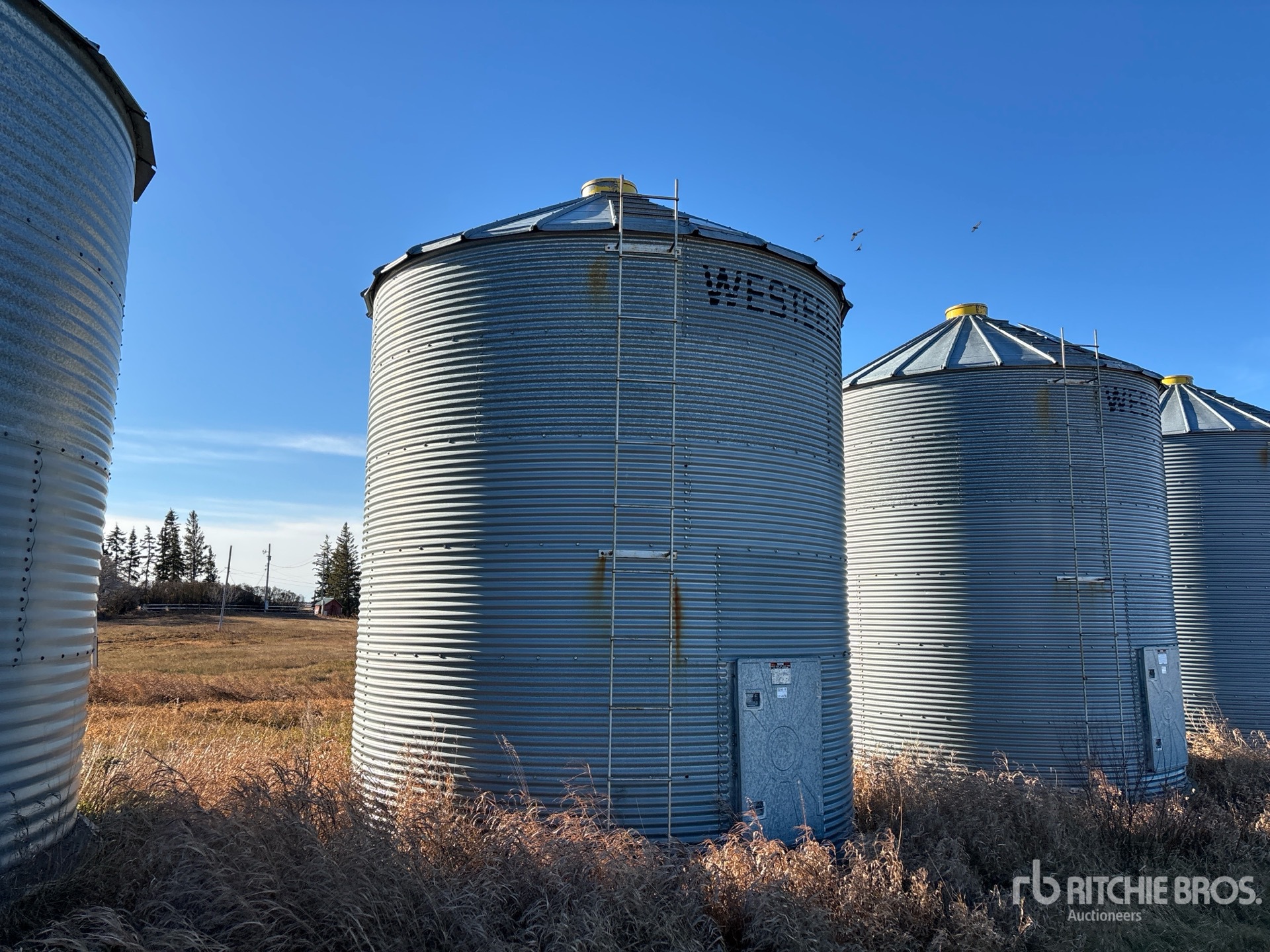 General Appearance with Image, coin avant droit