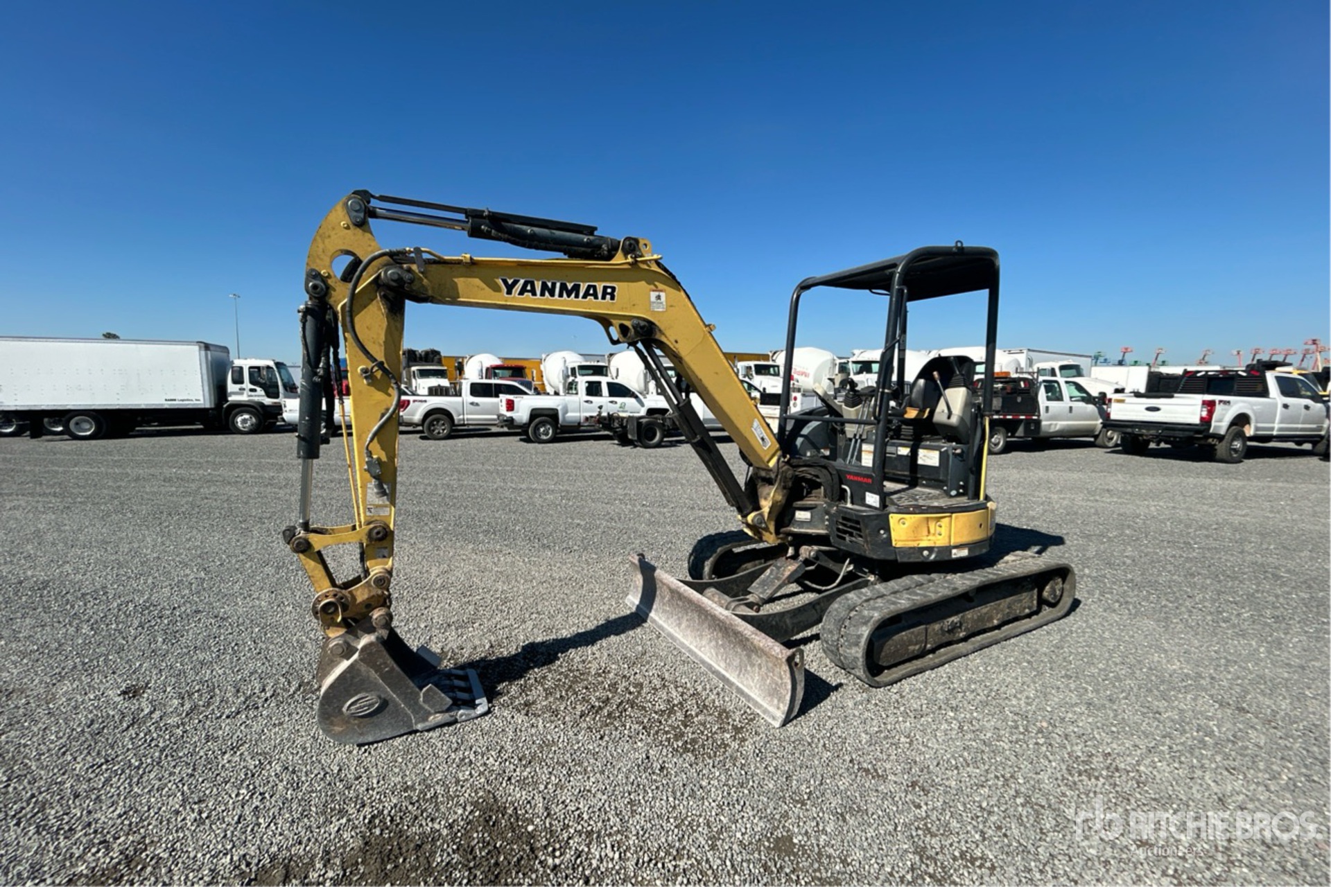 General Appearance with Spin