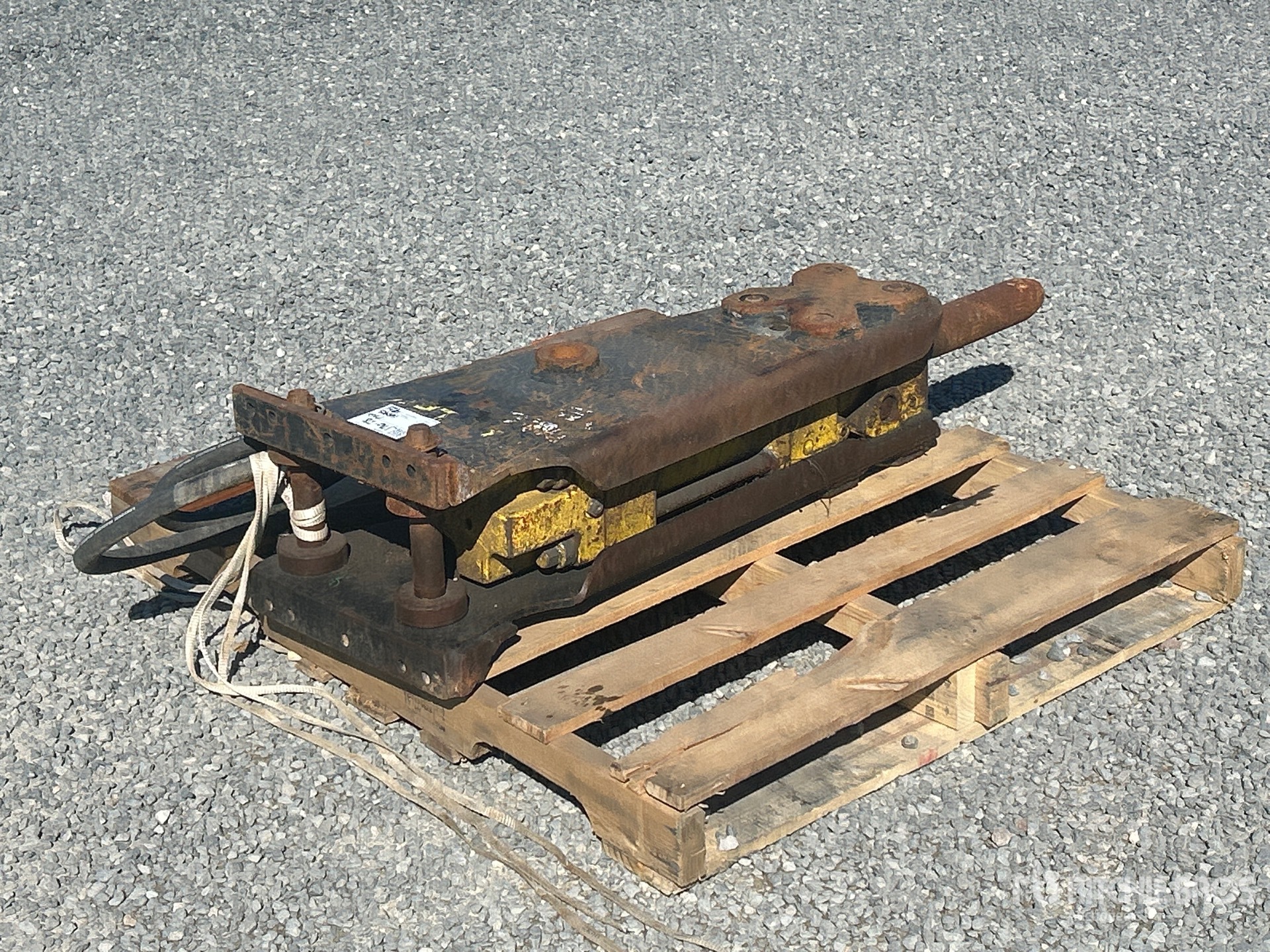 General Appearance with Zdjęcie, prawy dolny róg