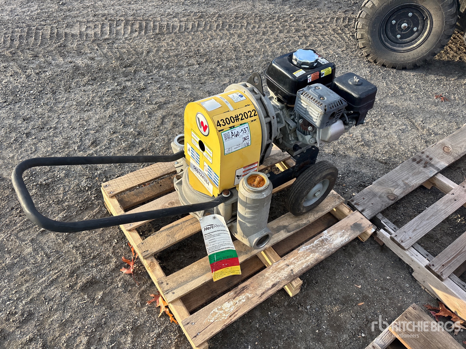 Aspect général with Image, coin arrière droit