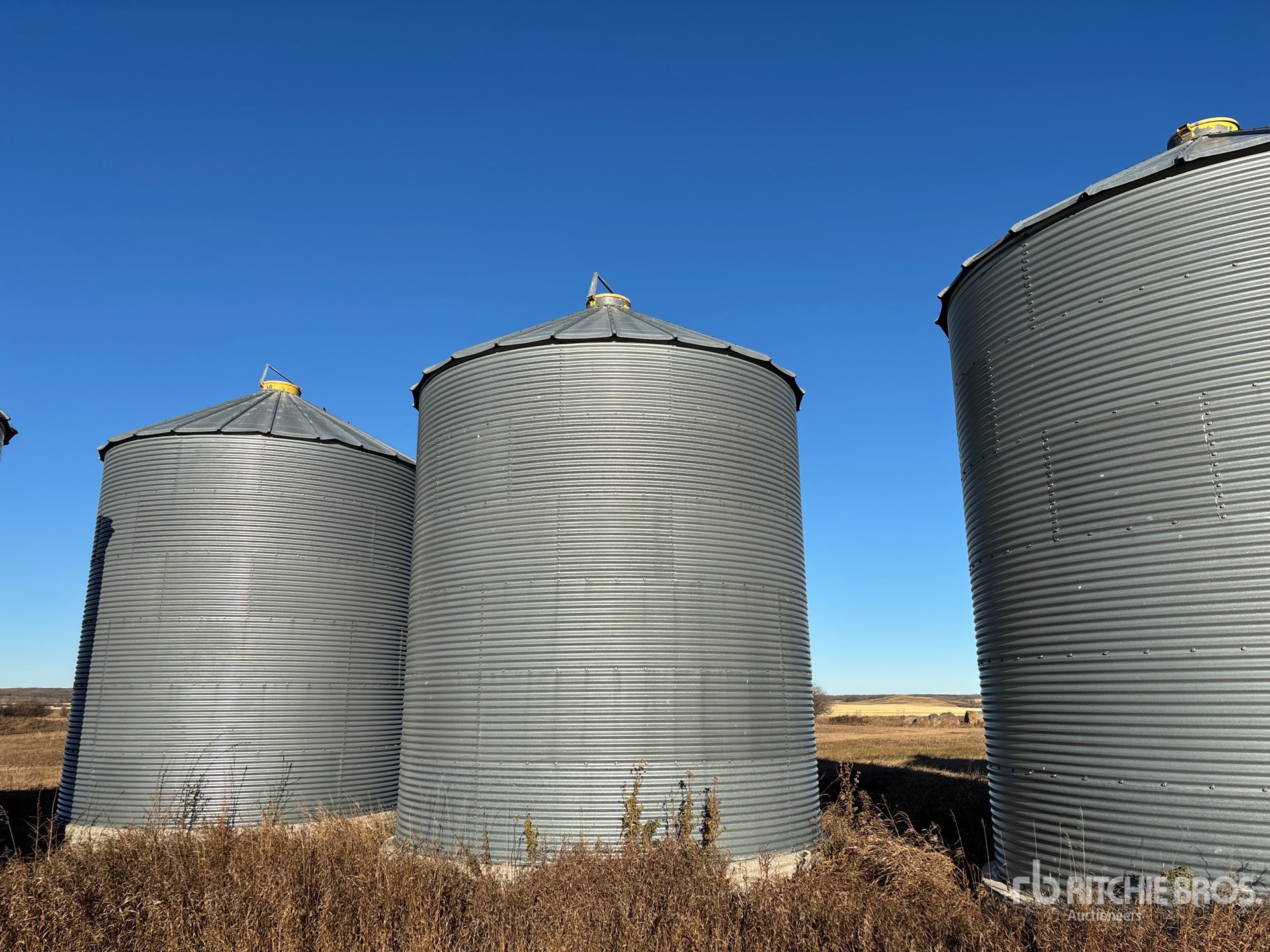 General Appearance with Foto, angolo anteriore sinistro