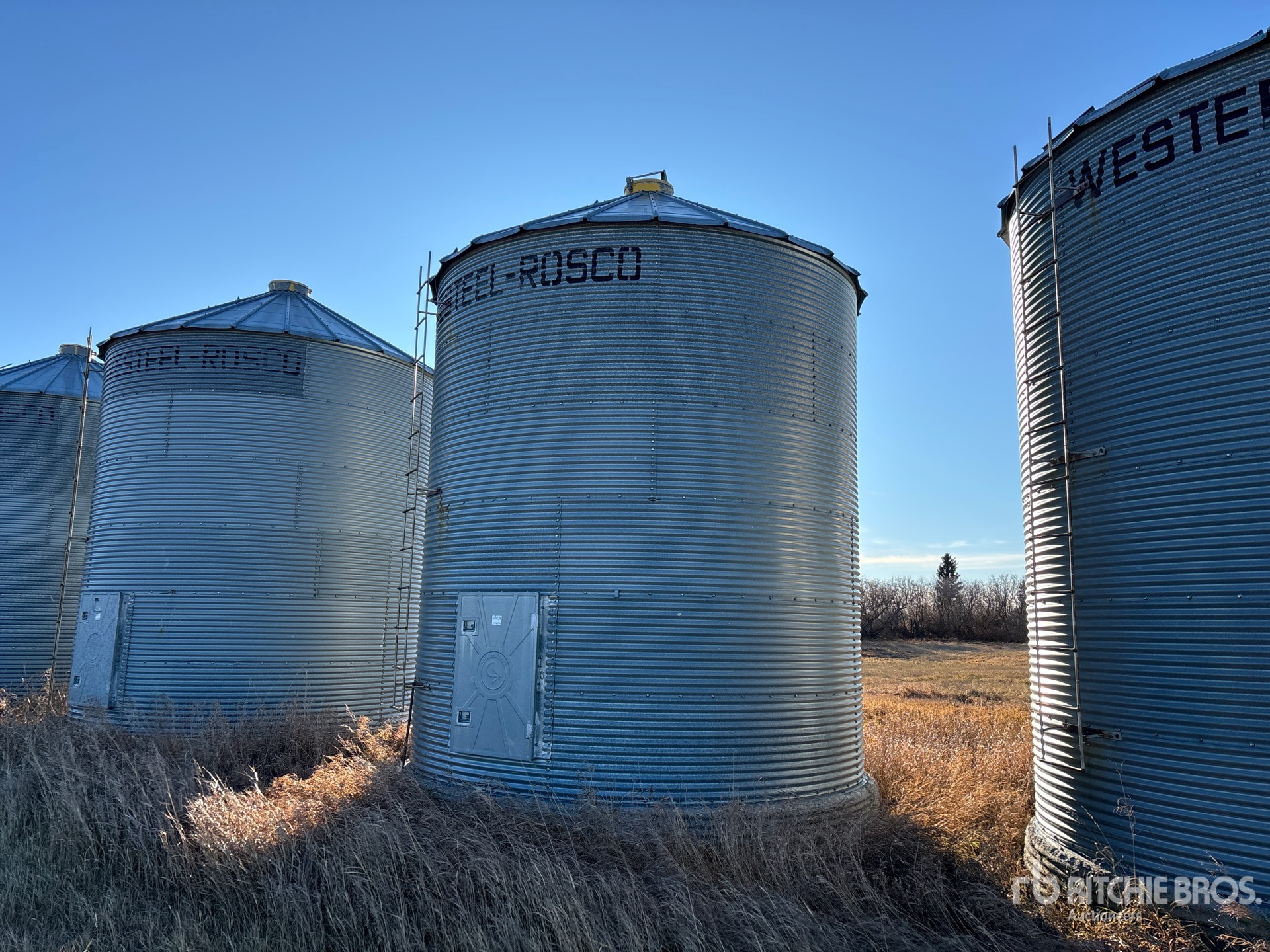 General Appearance with Foto, angolo anteriore sinistro