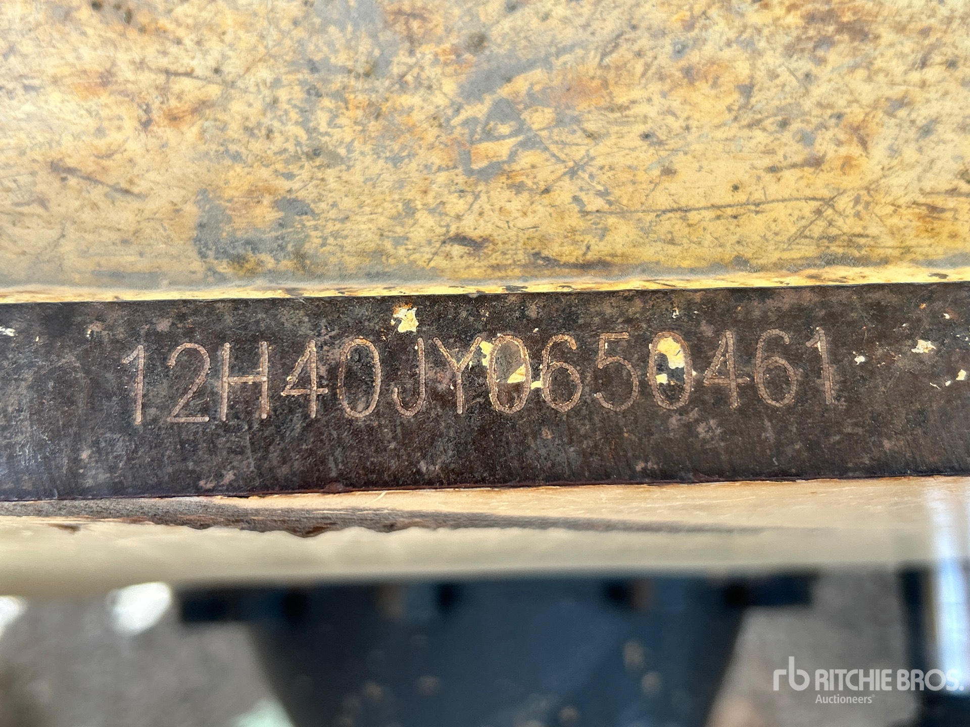 General Appearance with Numero seriale/numero d’identificazione del veicolo (VIN)