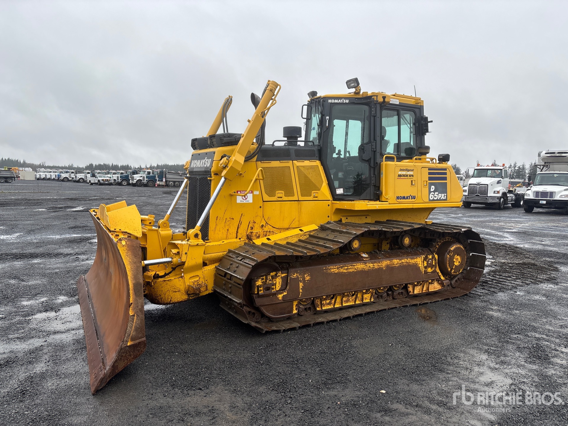 General Appearance with Spin