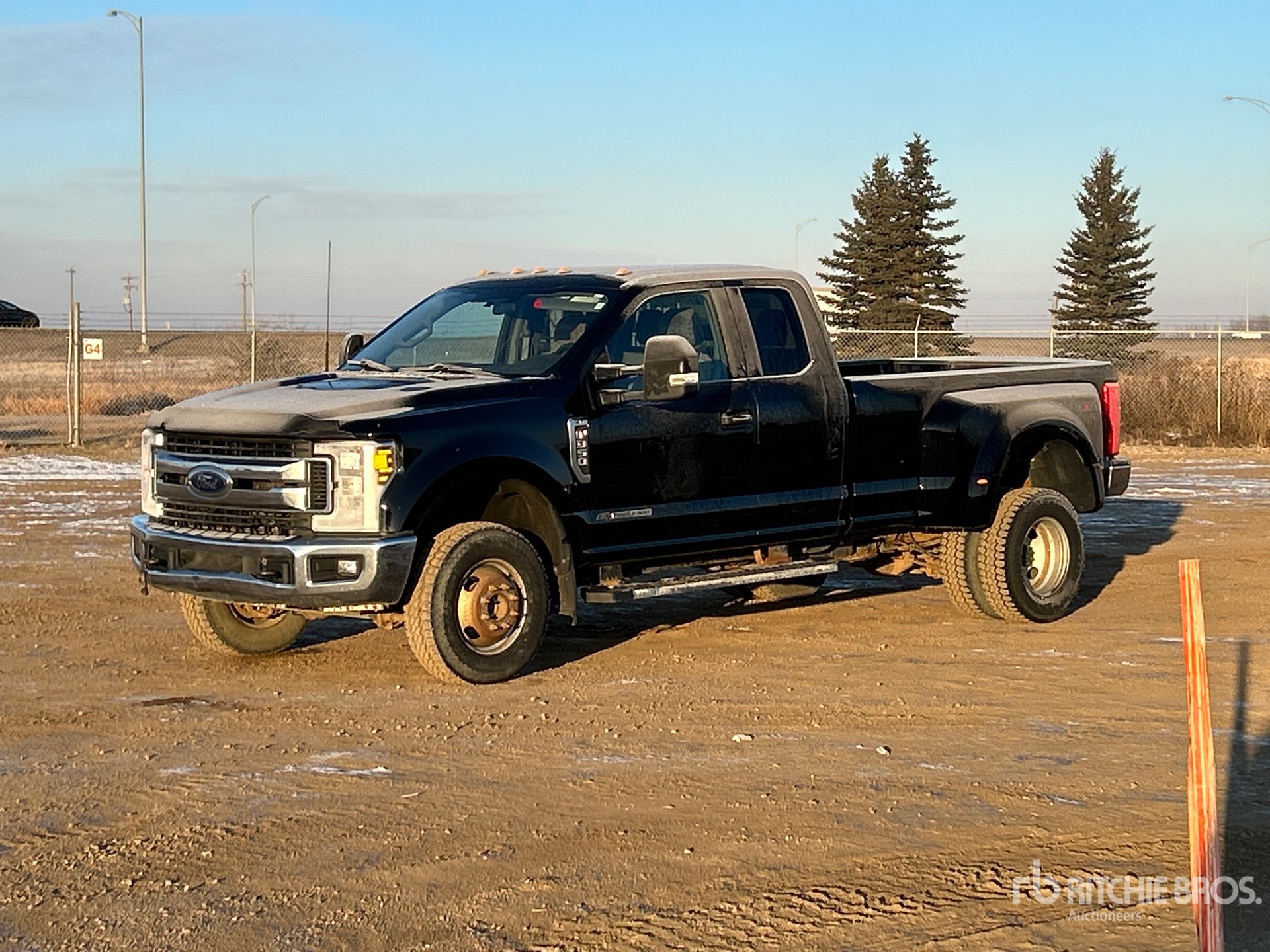 General Appearance with Spin