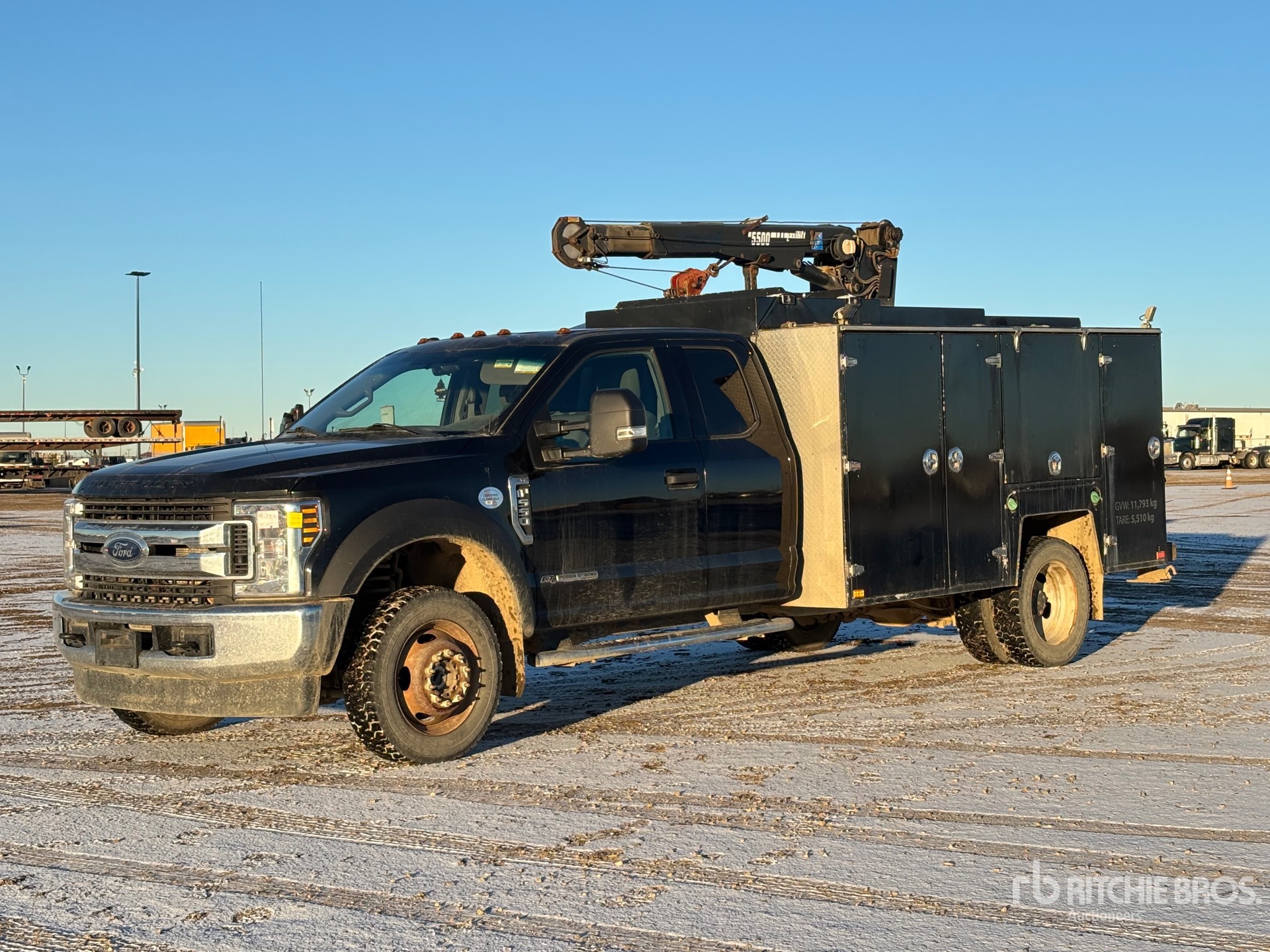 General Appearance with Spin