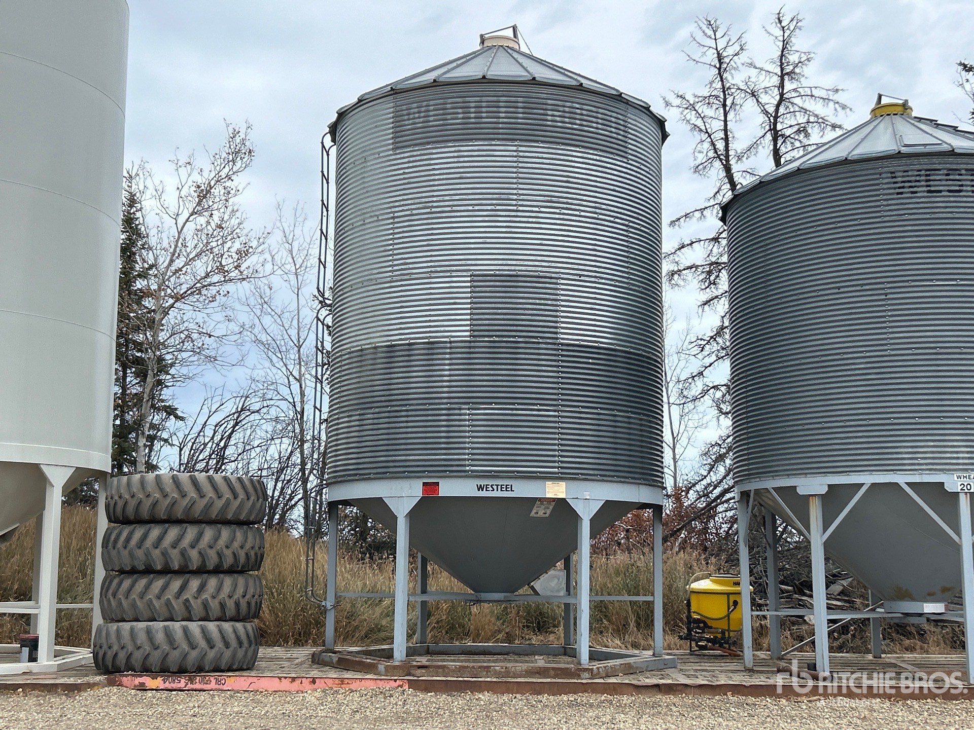 General Appearance with Foto, angolo anteriore sinistro