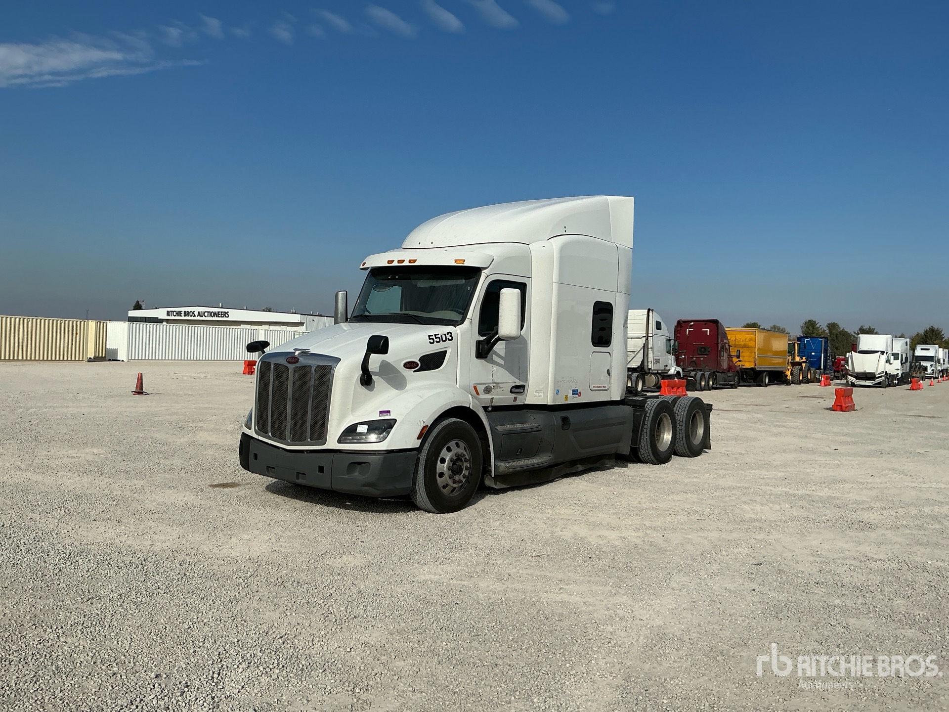 General Appearance with Spin