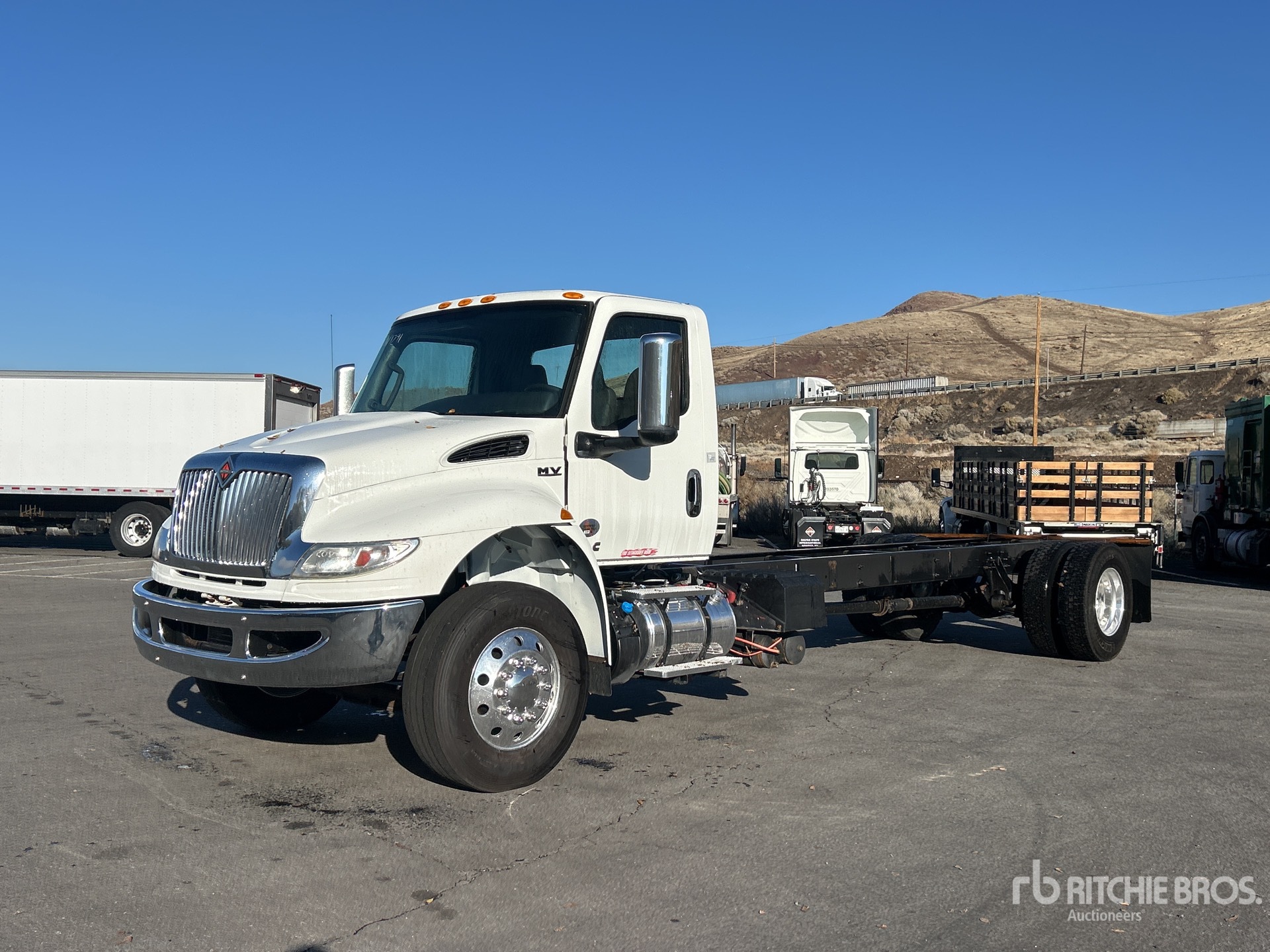 General Appearance with Spin