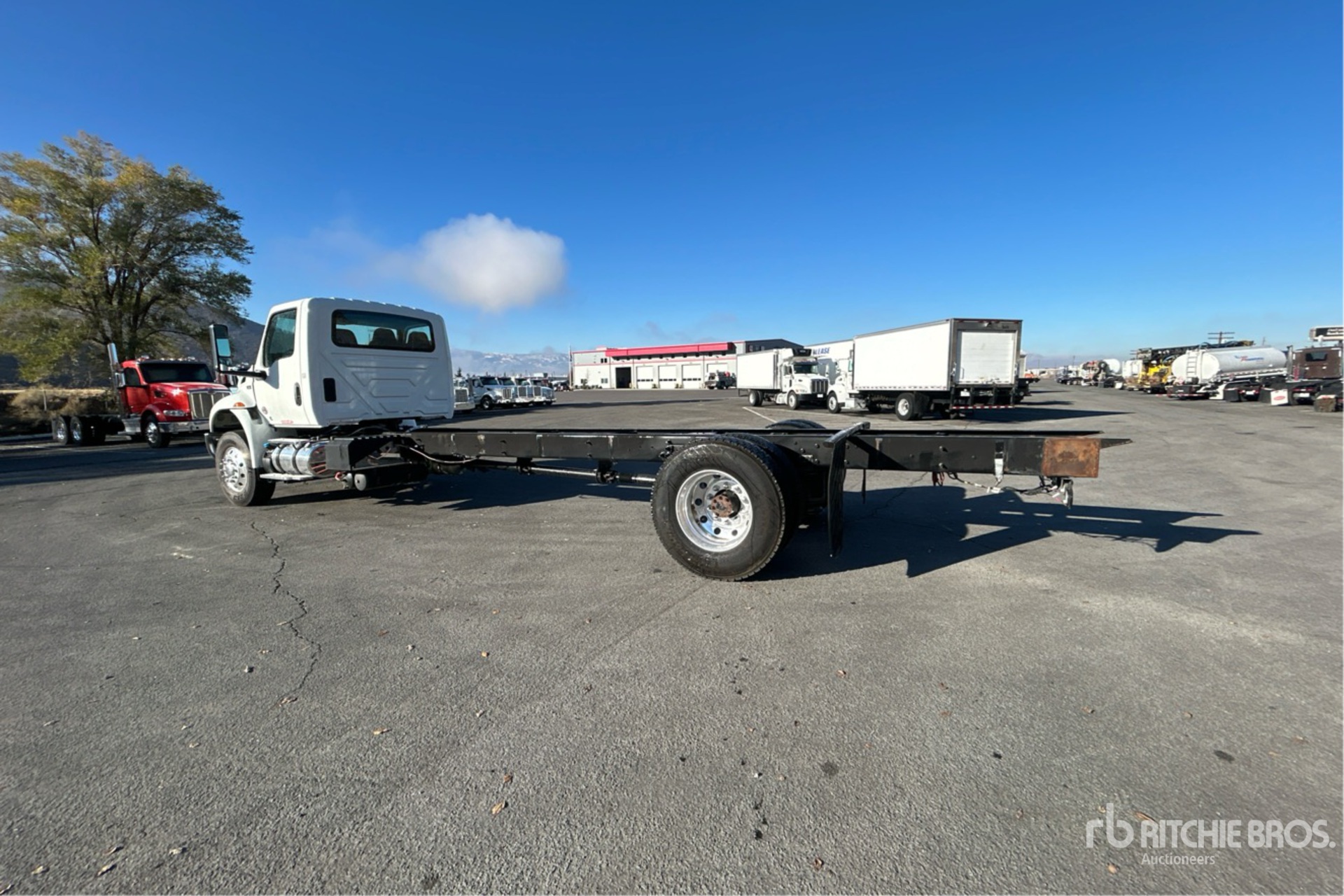 General Appearance with Bild, Ecke hinten links