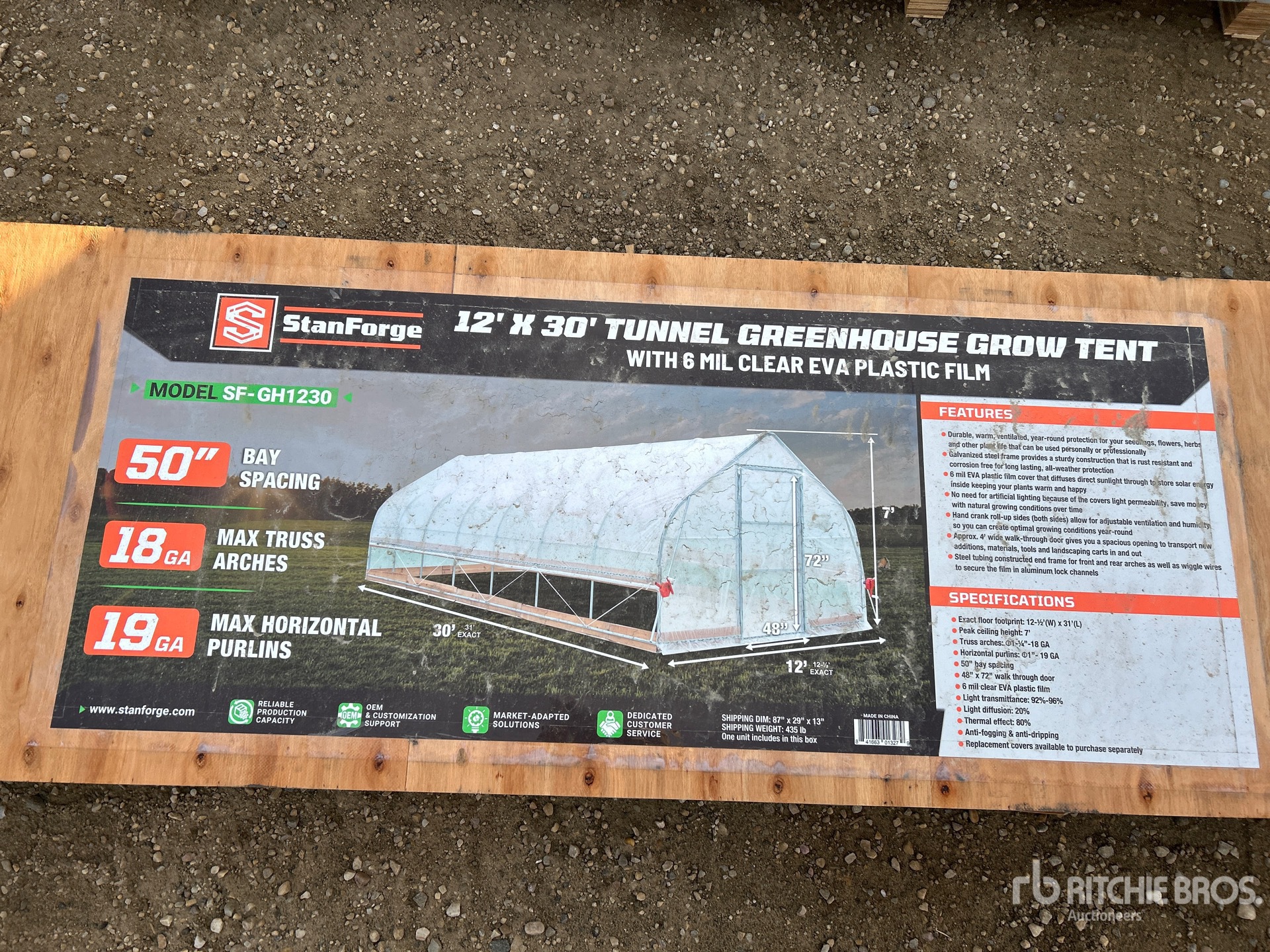 General Appearance with 