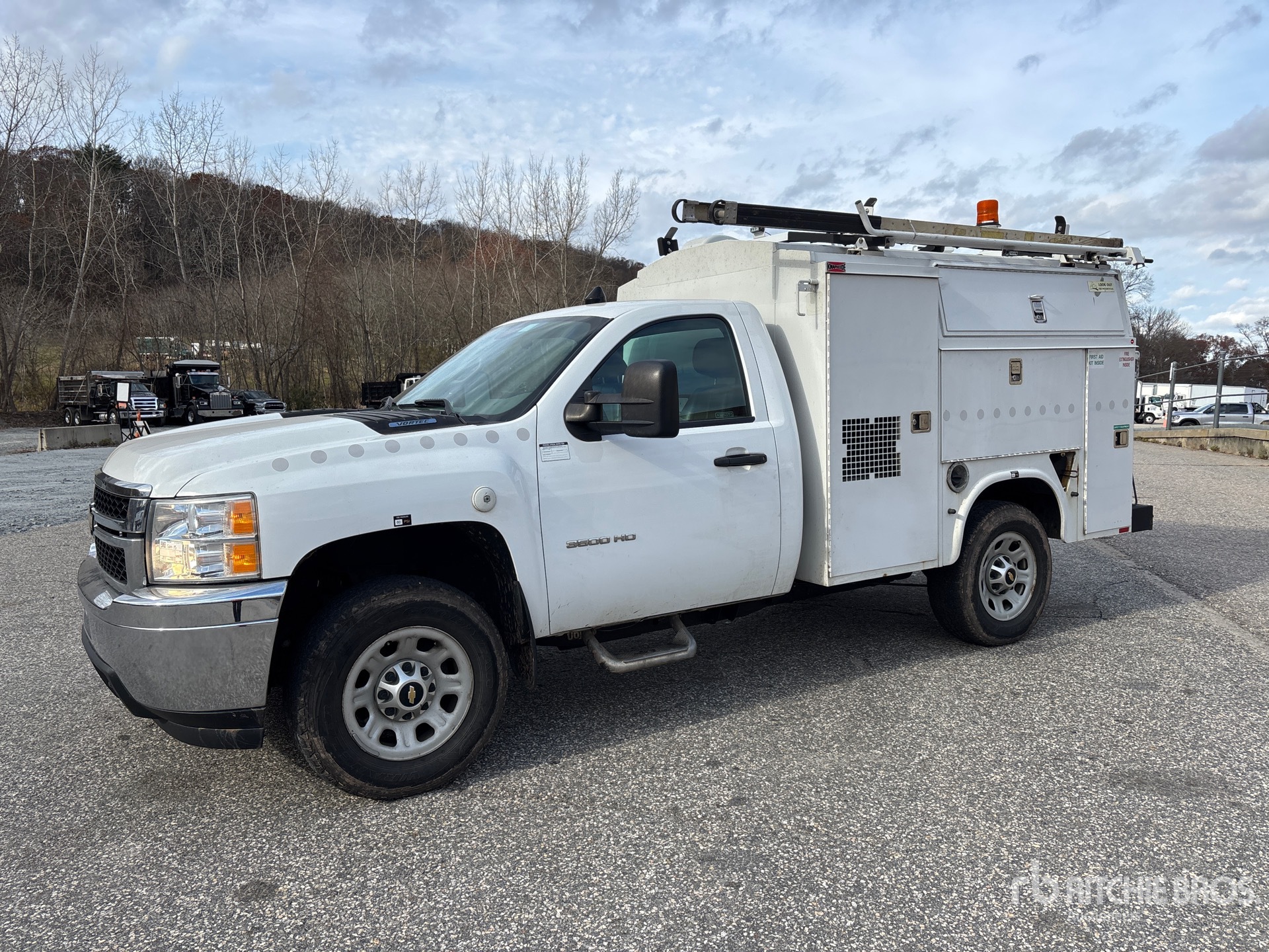 General Appearance with Spin