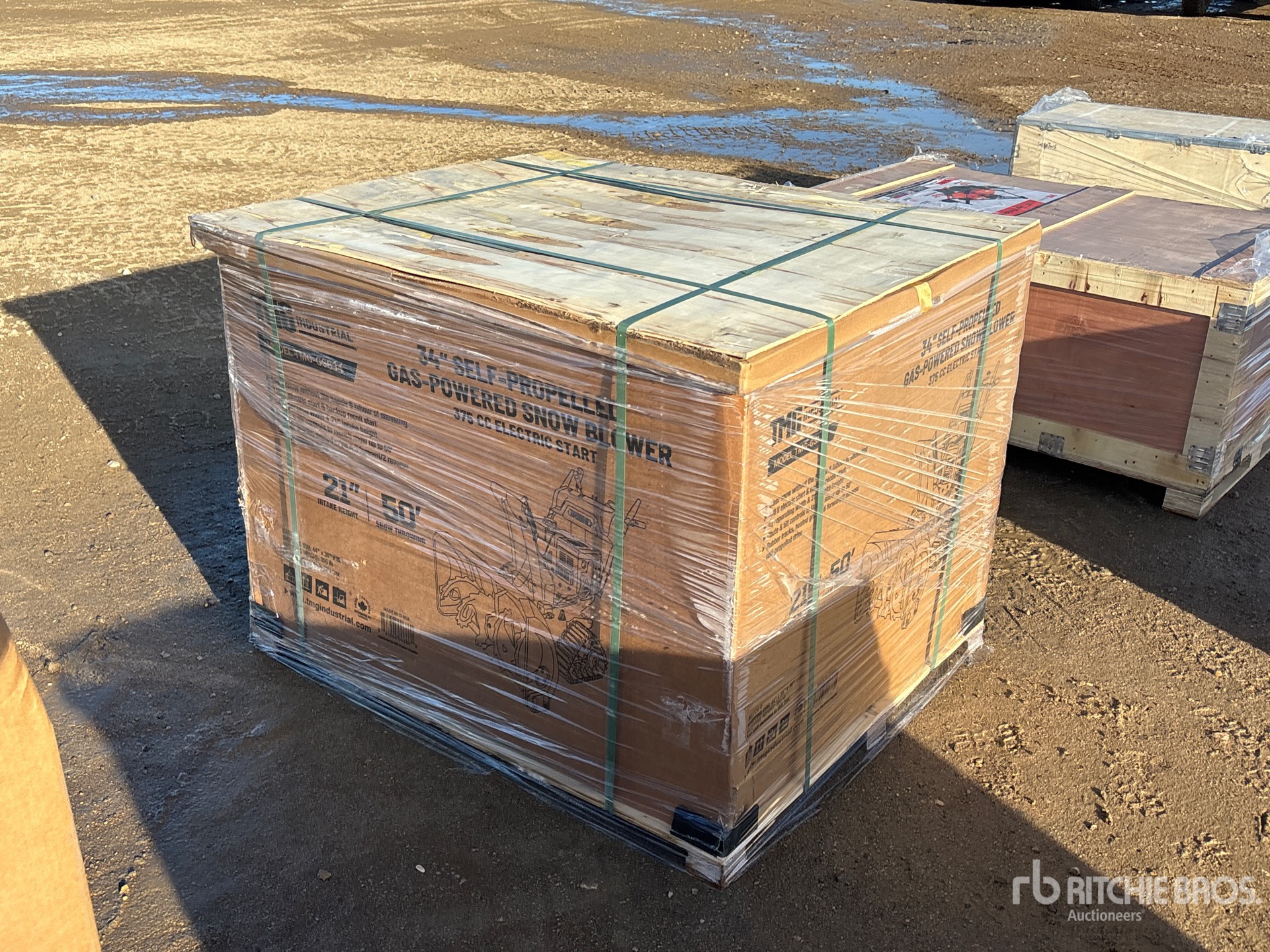 General Appearance with Bild, Ecke hinten rechts