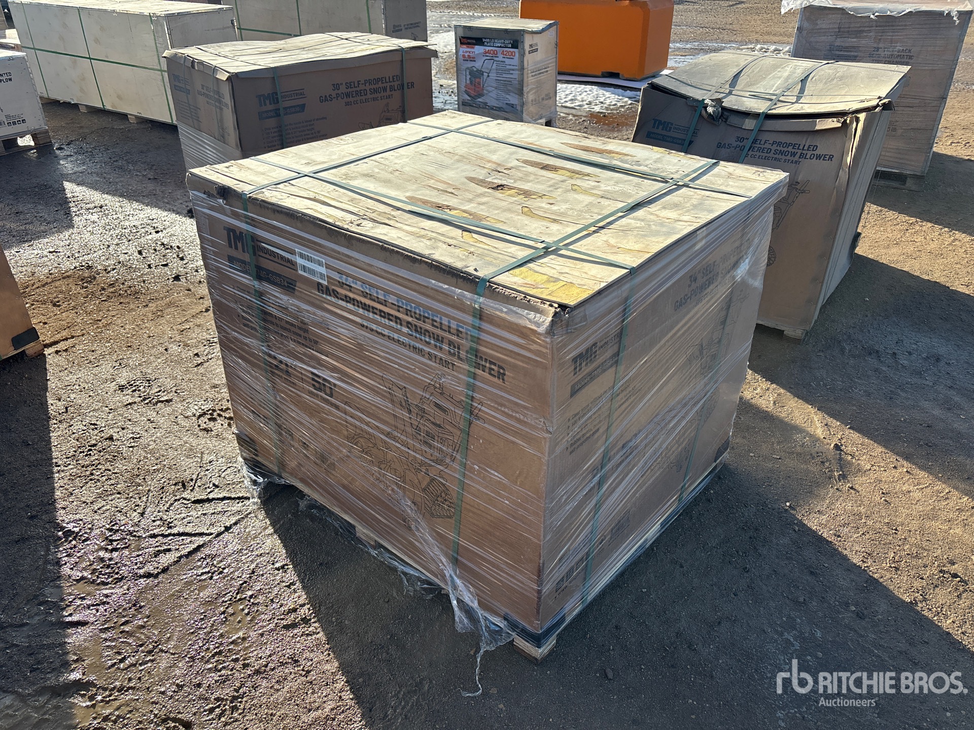 General Appearance with Bild, Ecke vorne links