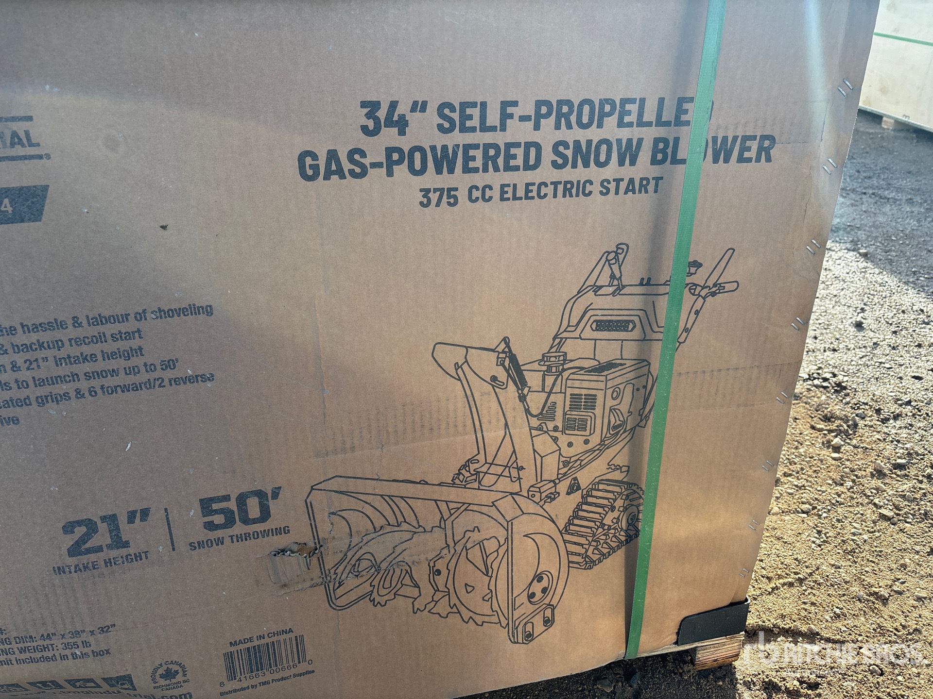 General Appearance with 