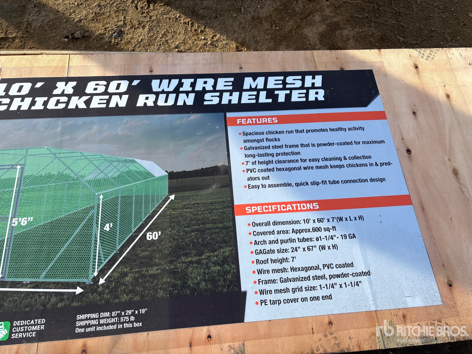 General Appearance with 