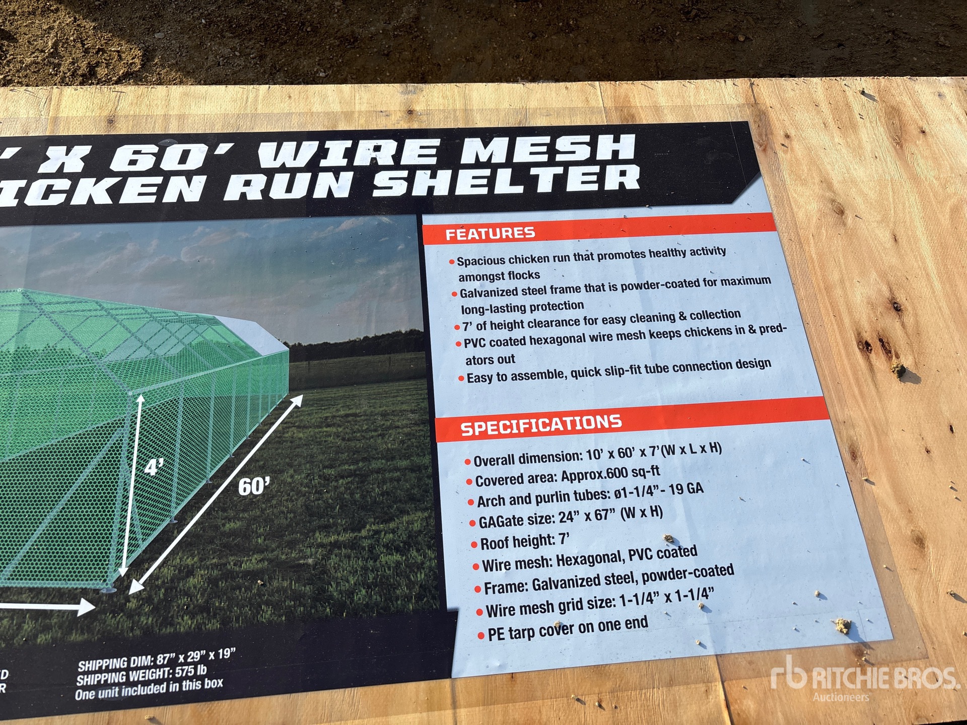 General Appearance with 