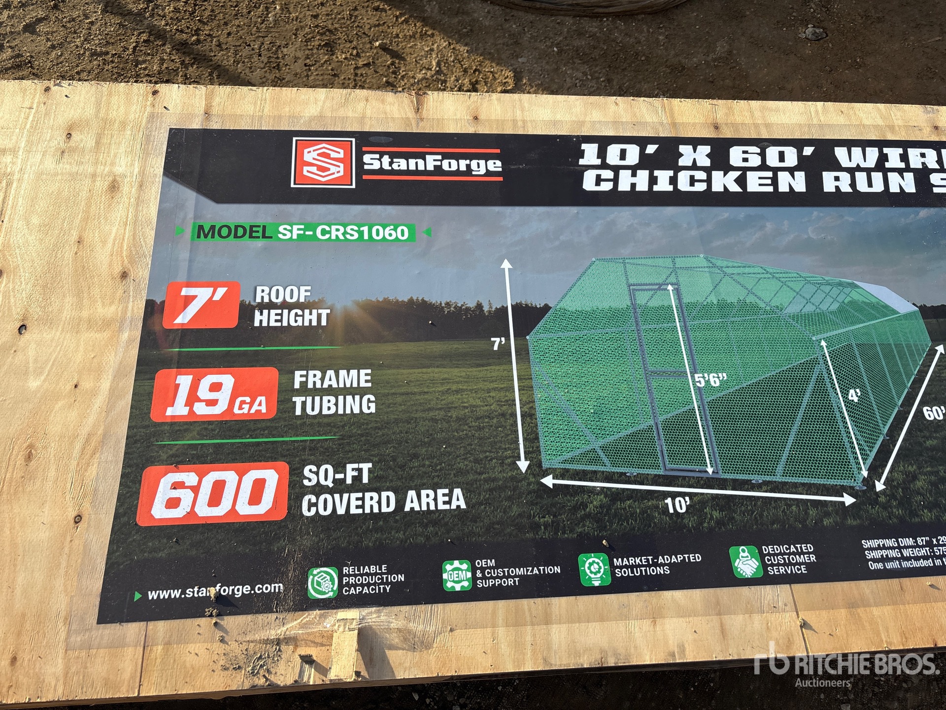 General Appearance with 