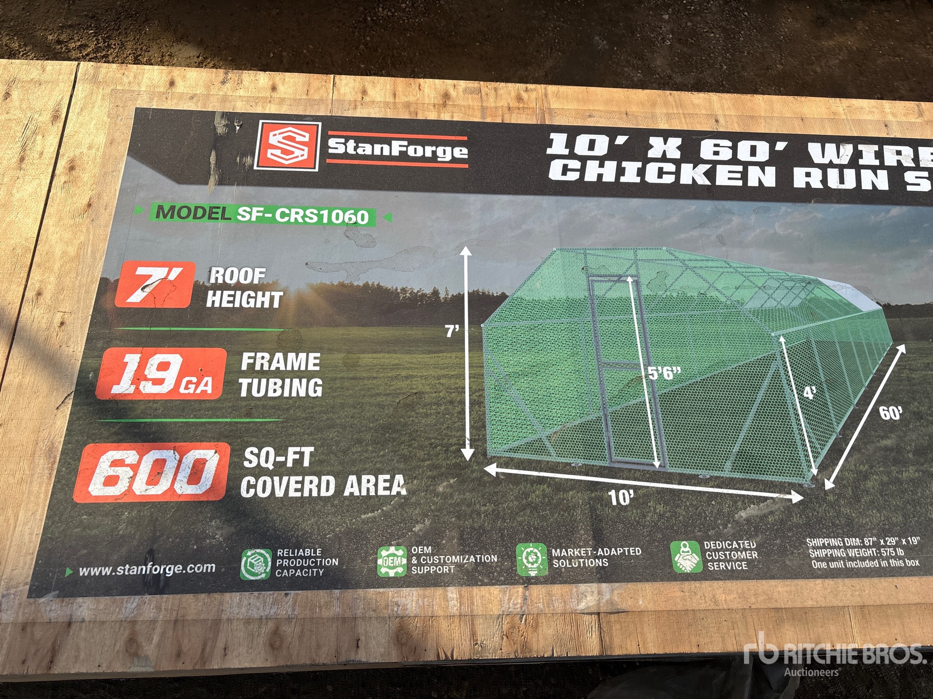 General Appearance with 