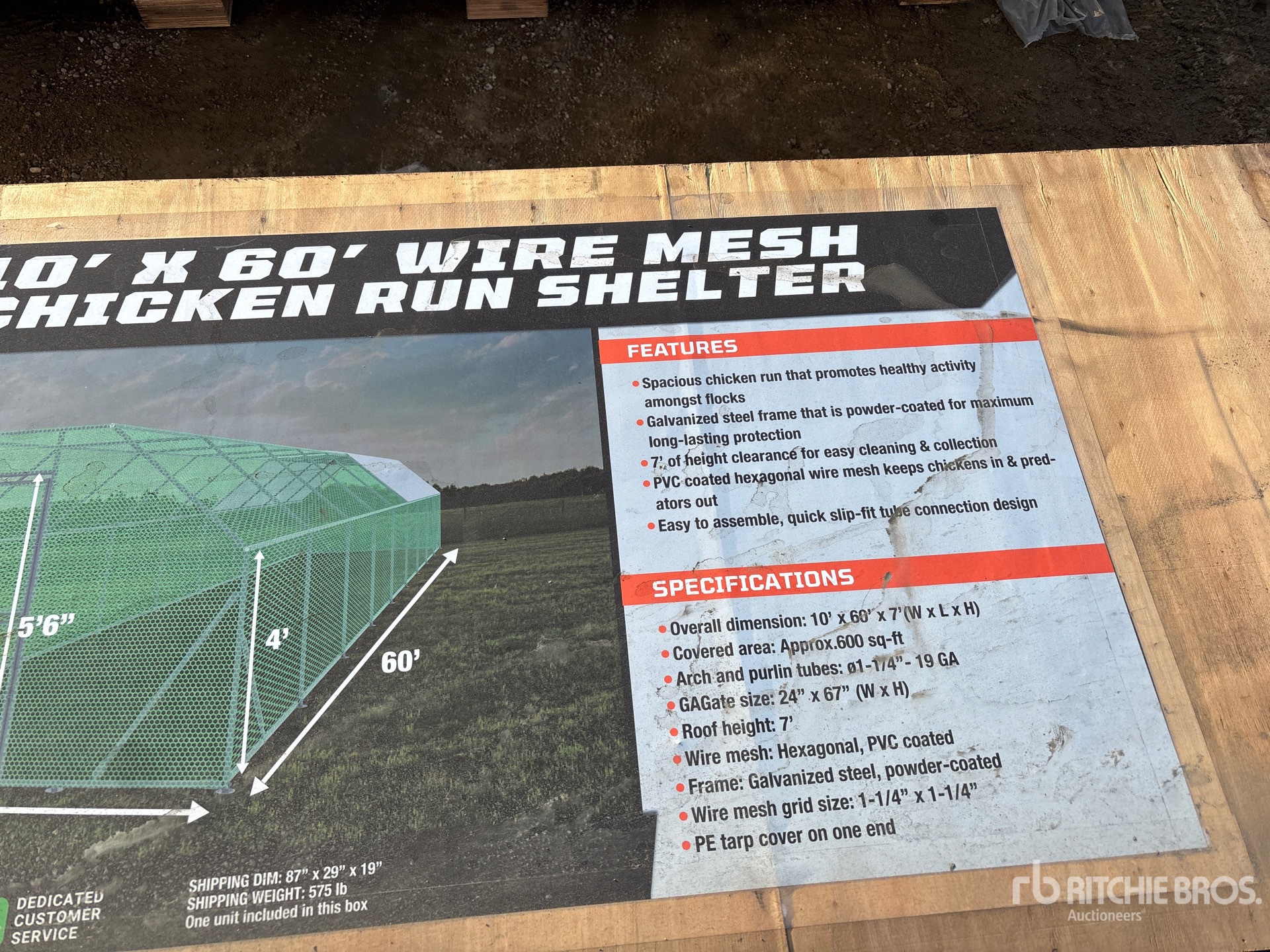 General Appearance with 