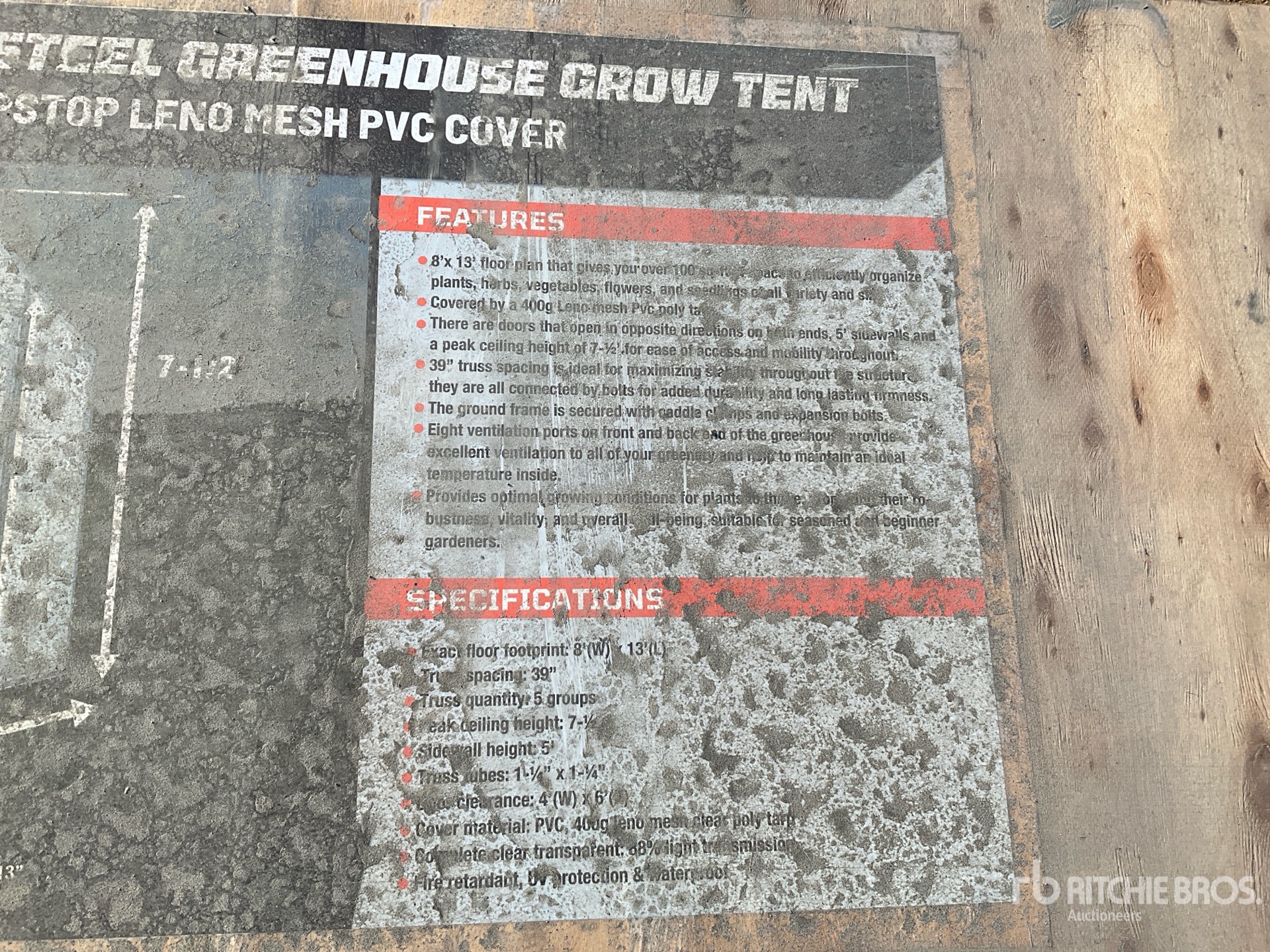 General Appearance with 