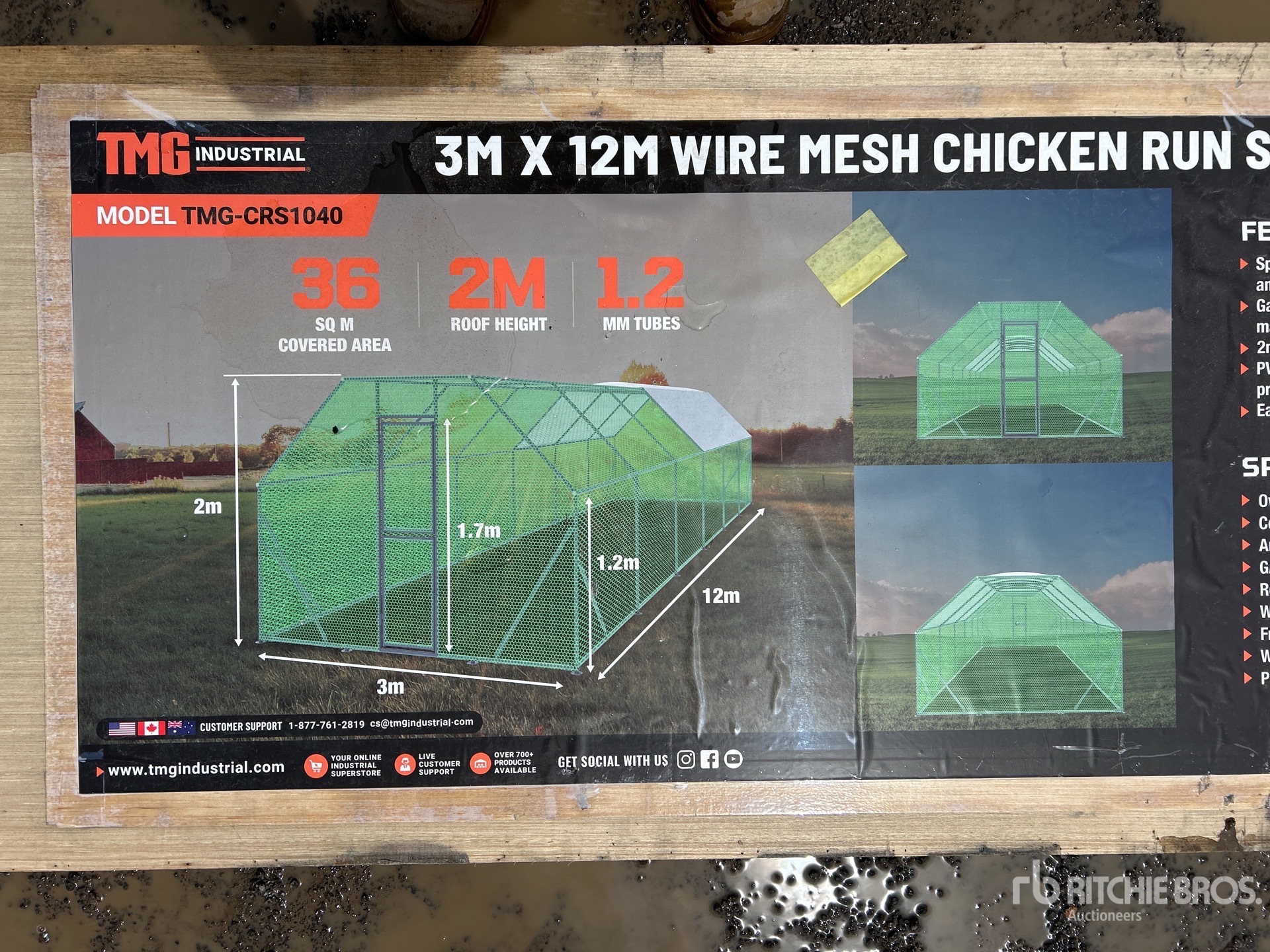 General Appearance with 