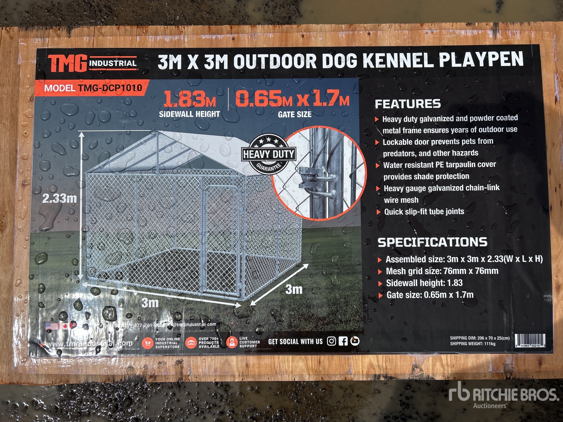 General Appearance with 