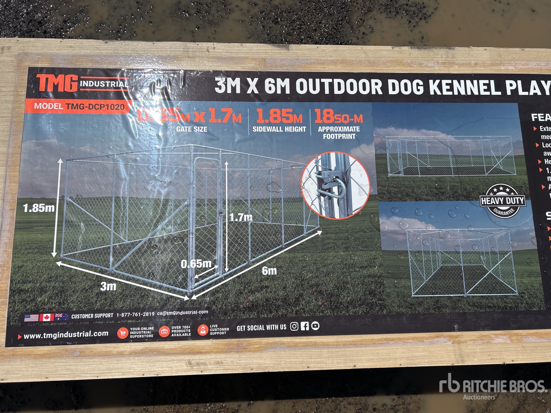 General Appearance with 