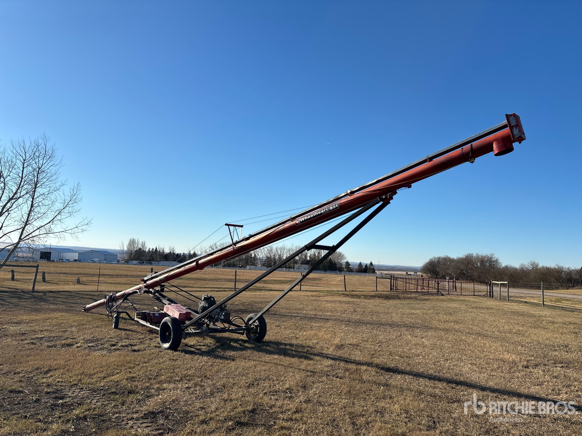 General Appearance with Foto, angolo posteriore sinistro