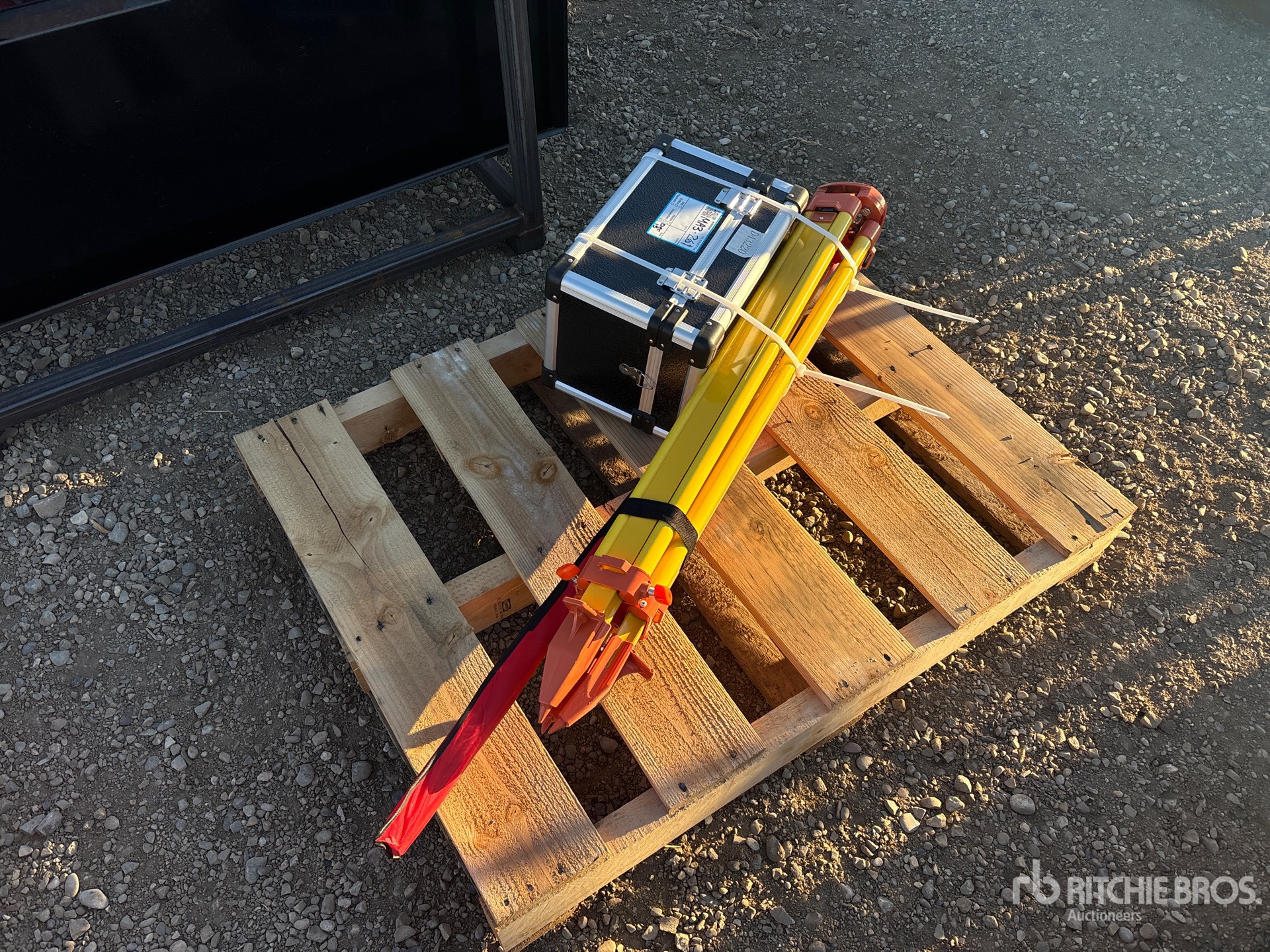 General Appearance with Image, coin arrière droit