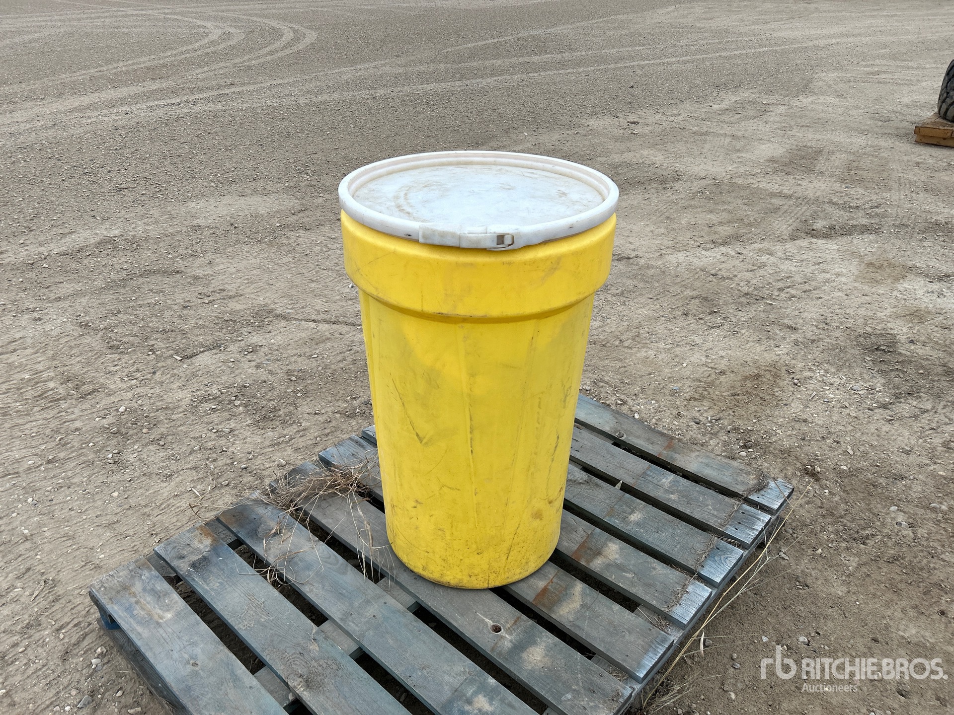 General Appearance with Foto, angolo posteriore sinistro