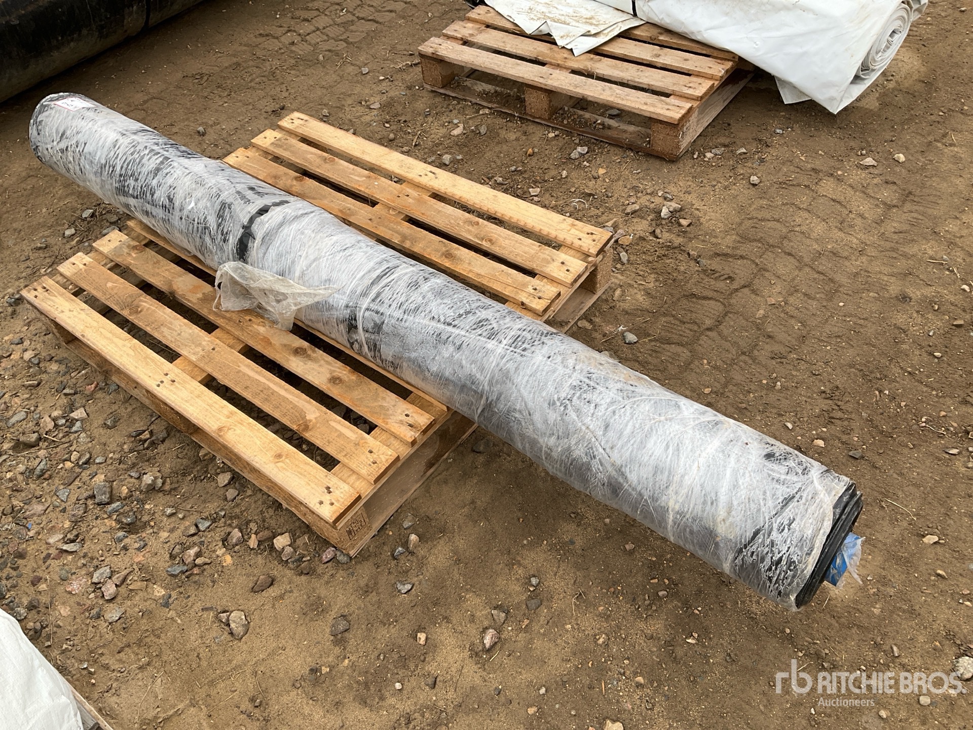 General Appearance with Imagen: esquina trasera derecha