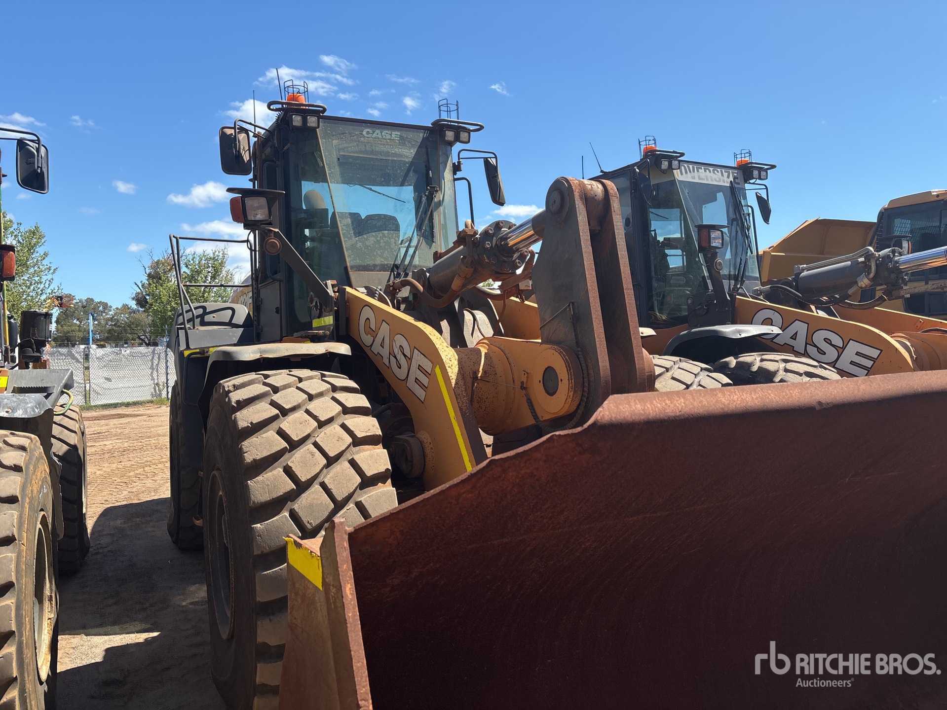 General Appearance with 