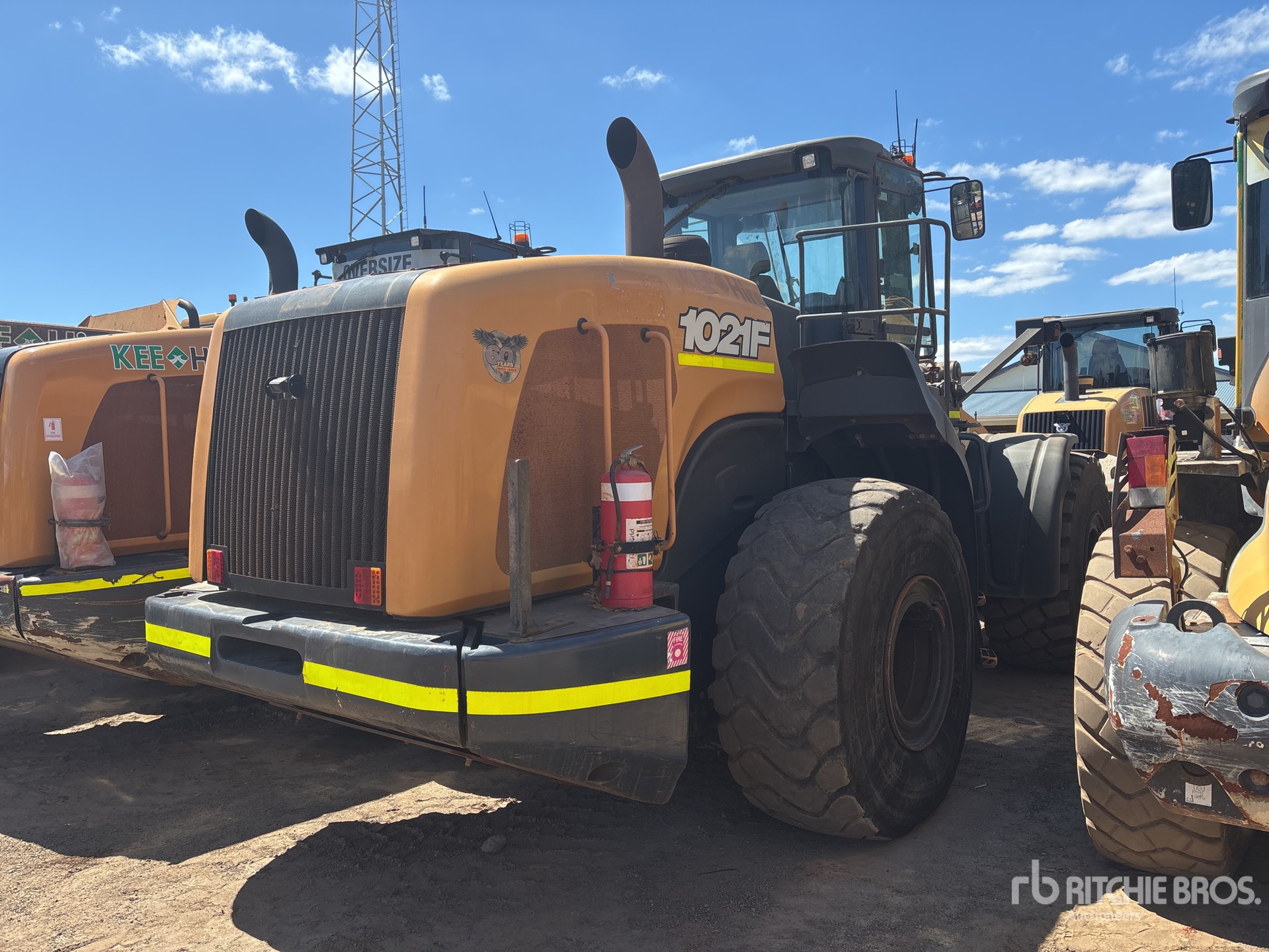 General Appearance with 