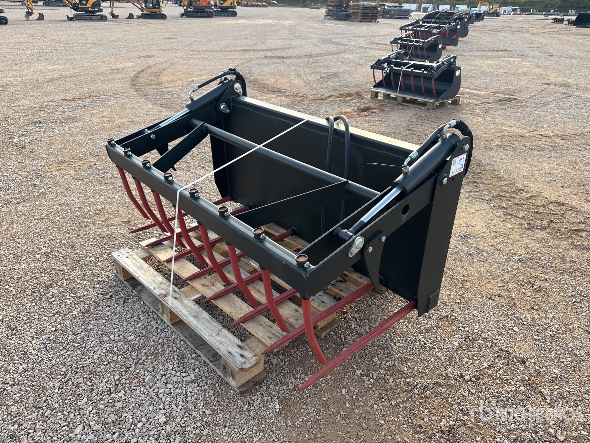 General Appearance with 