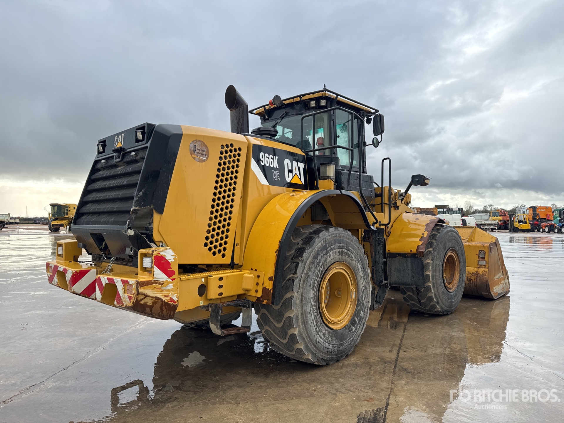 General Appearance with