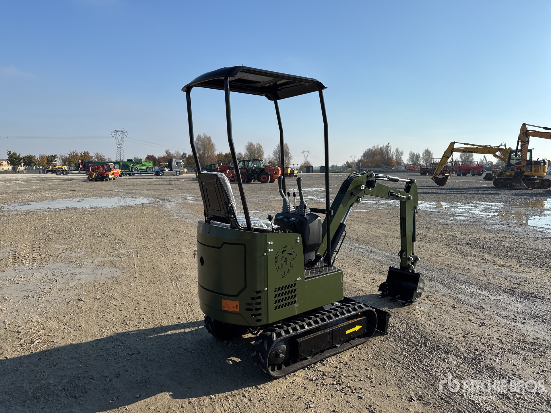 General Appearance with 