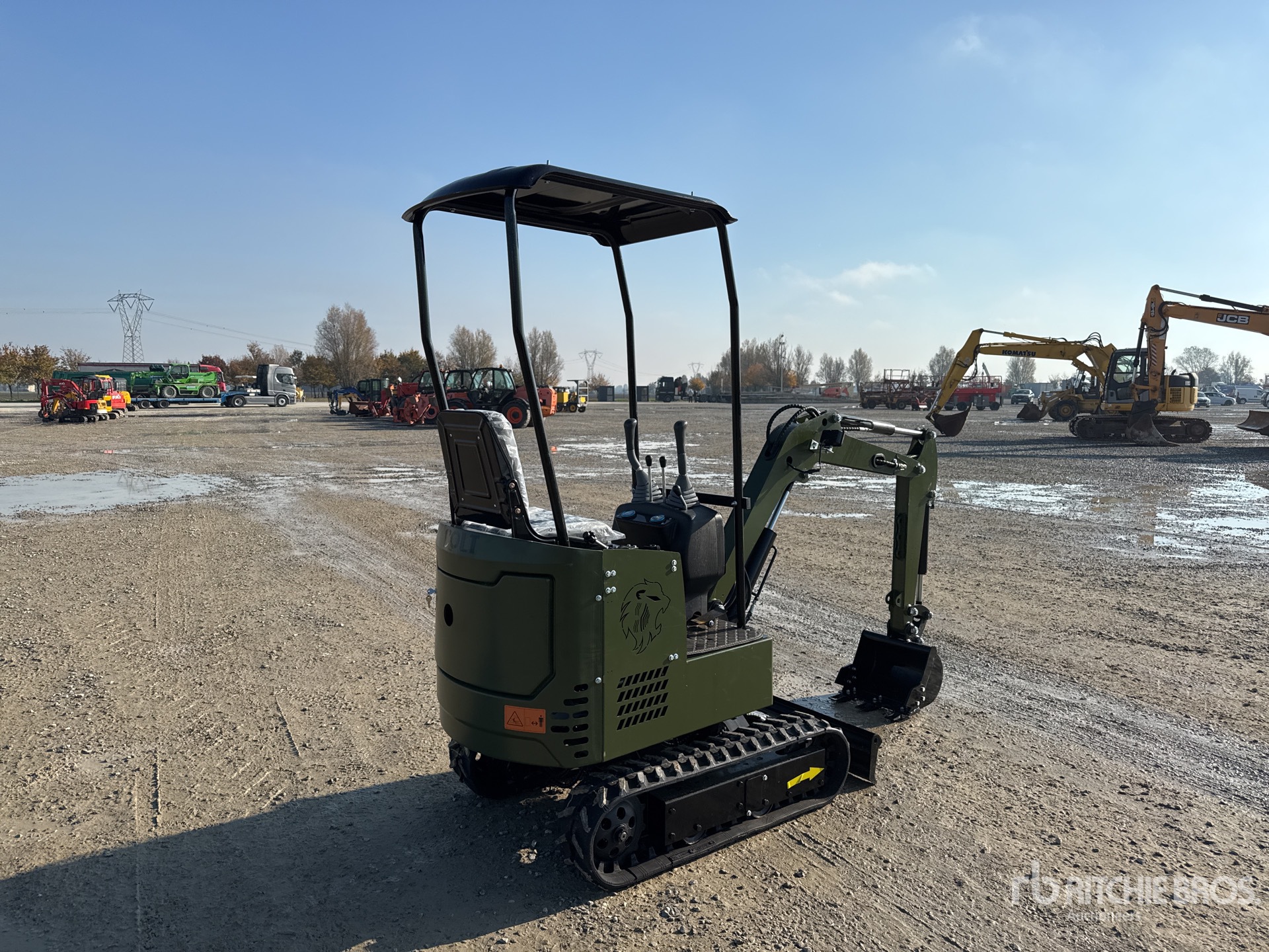 General Appearance with 