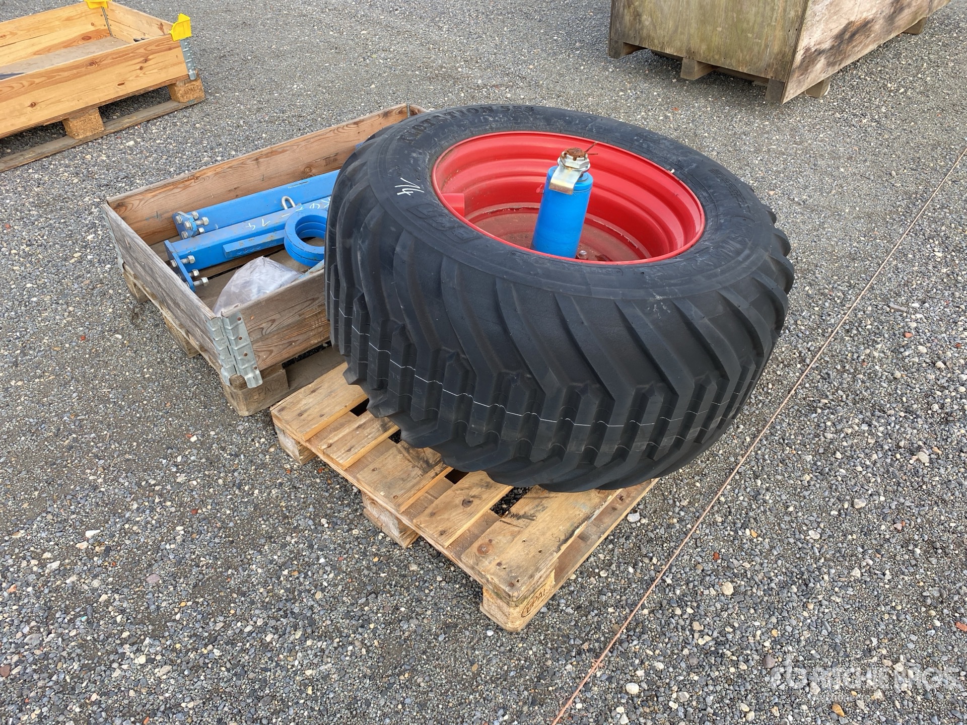 General Appearance with 