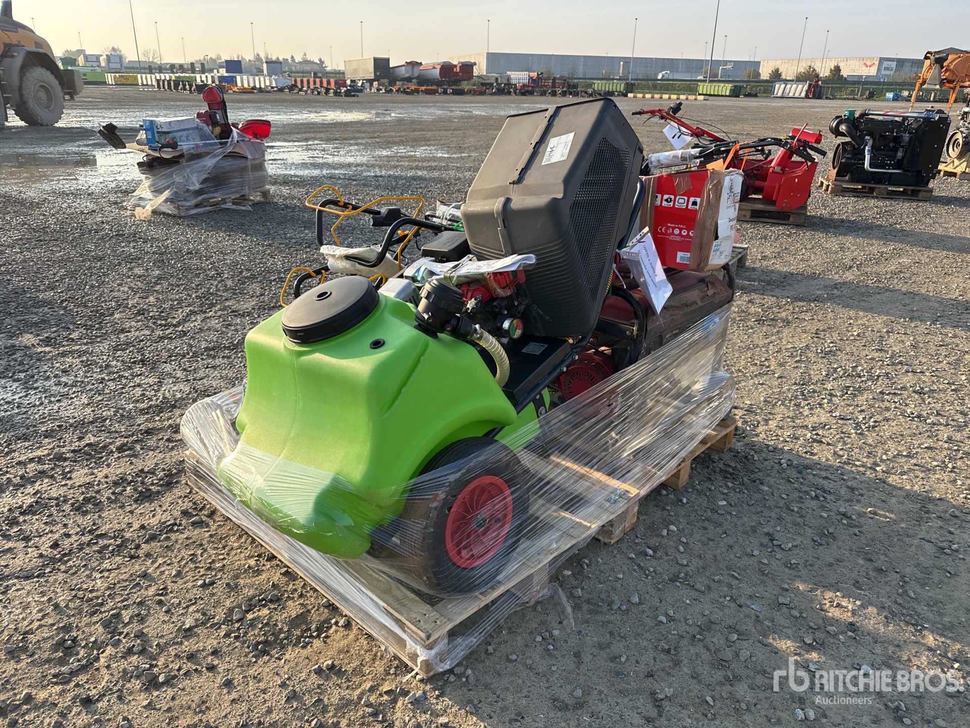 General Appearance with