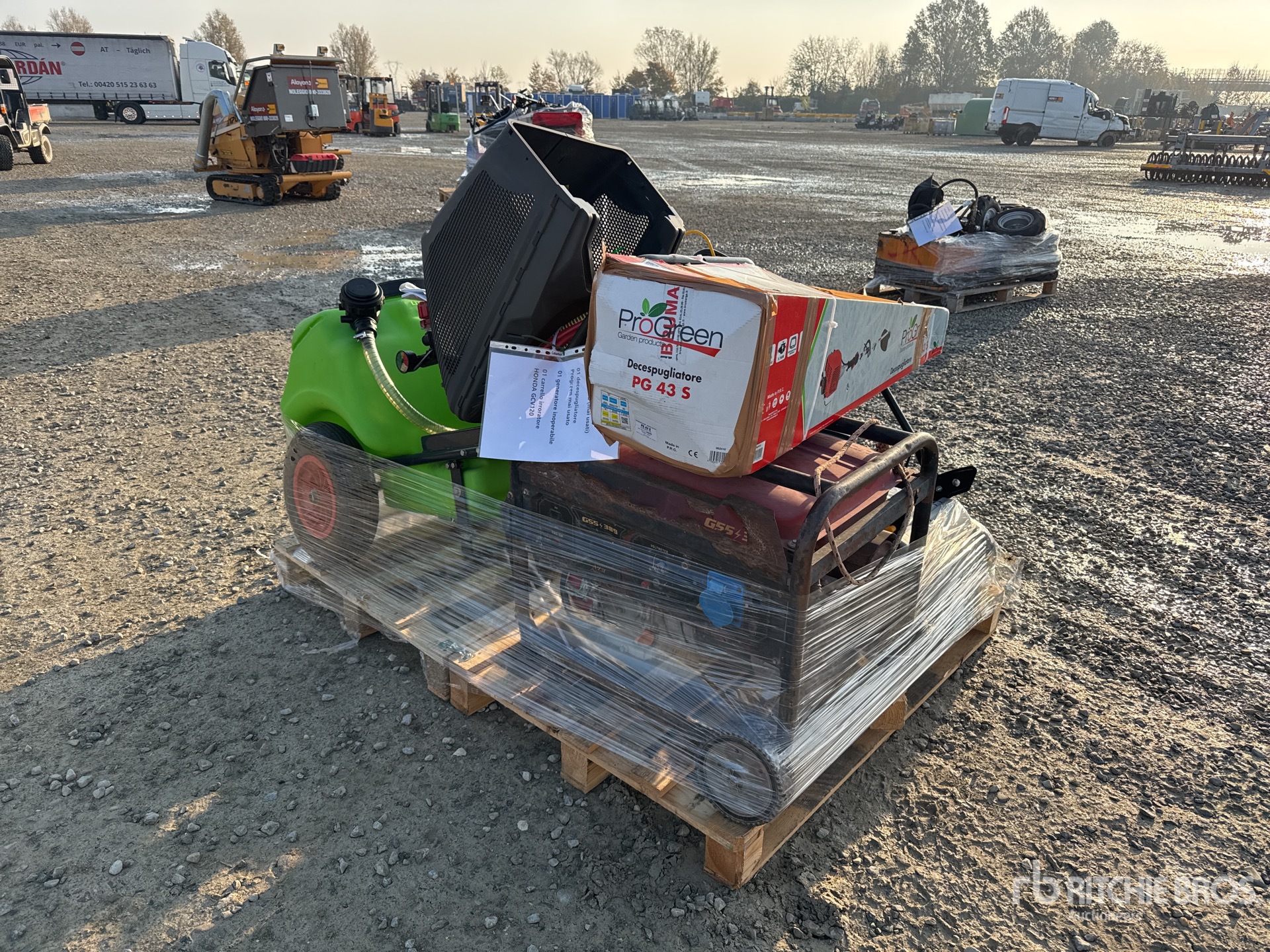 General Appearance with