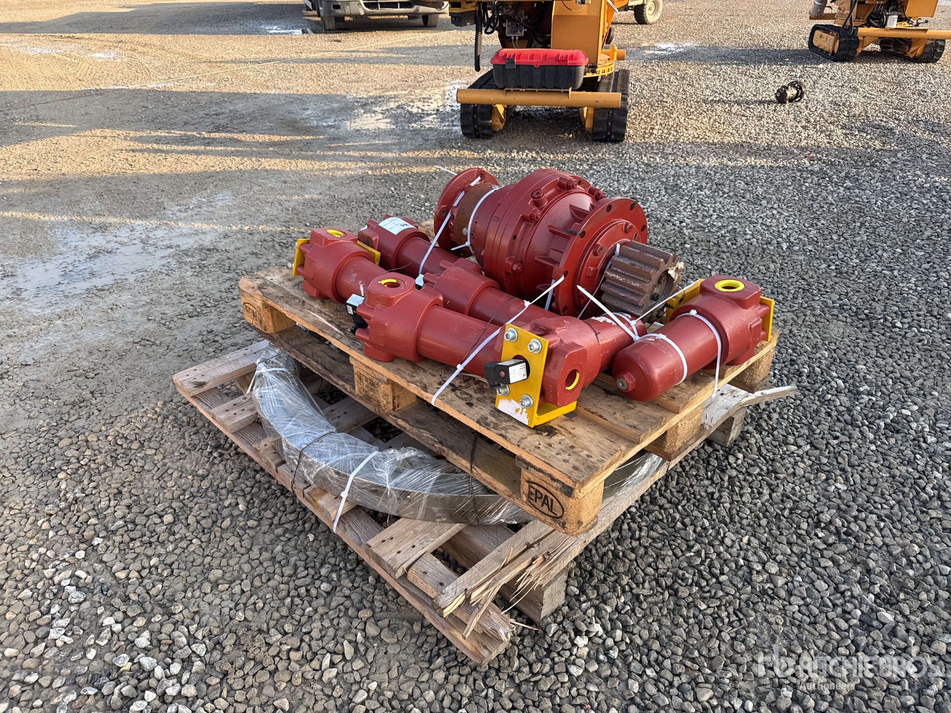 General Appearance with