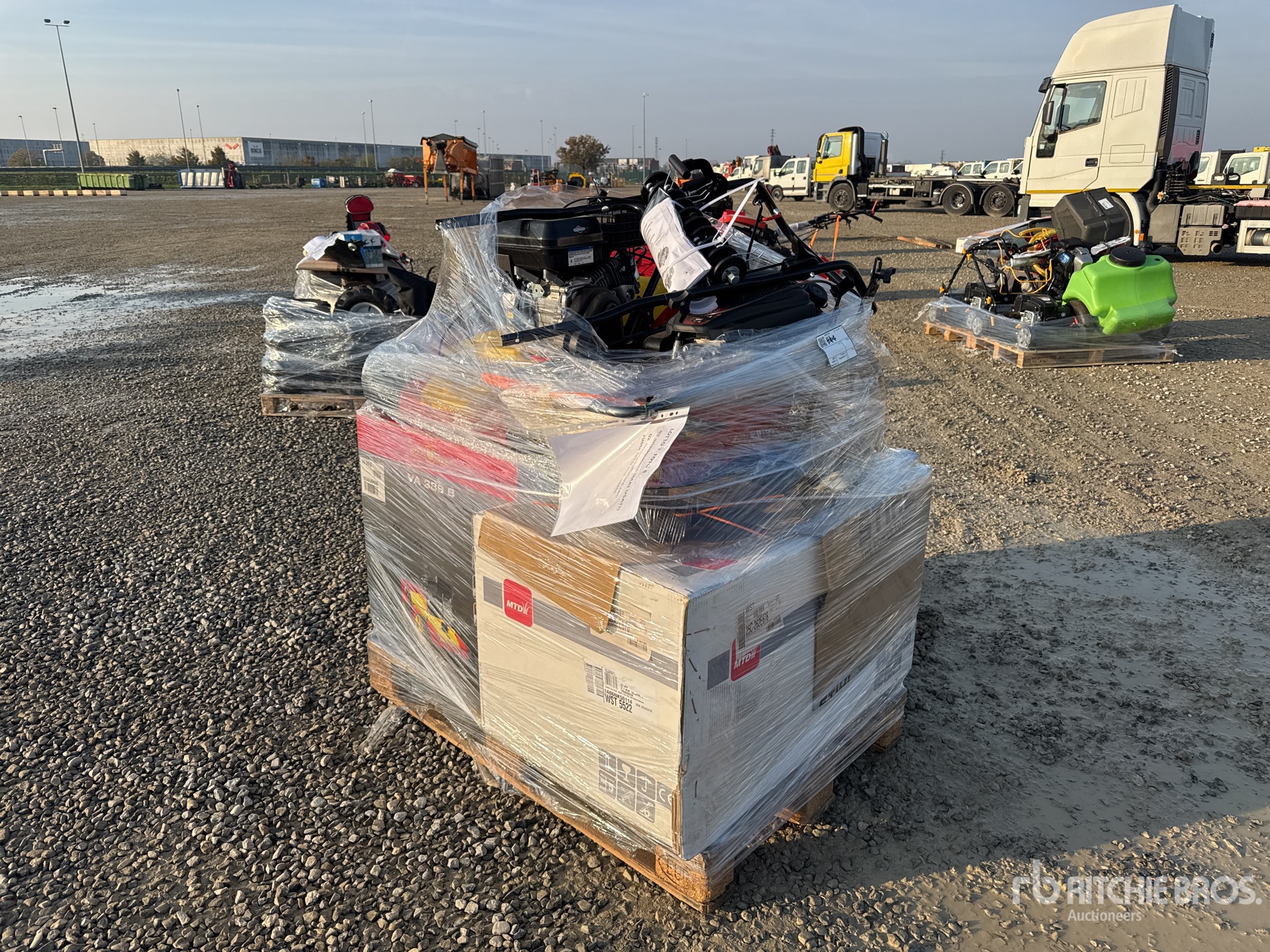 General Appearance with