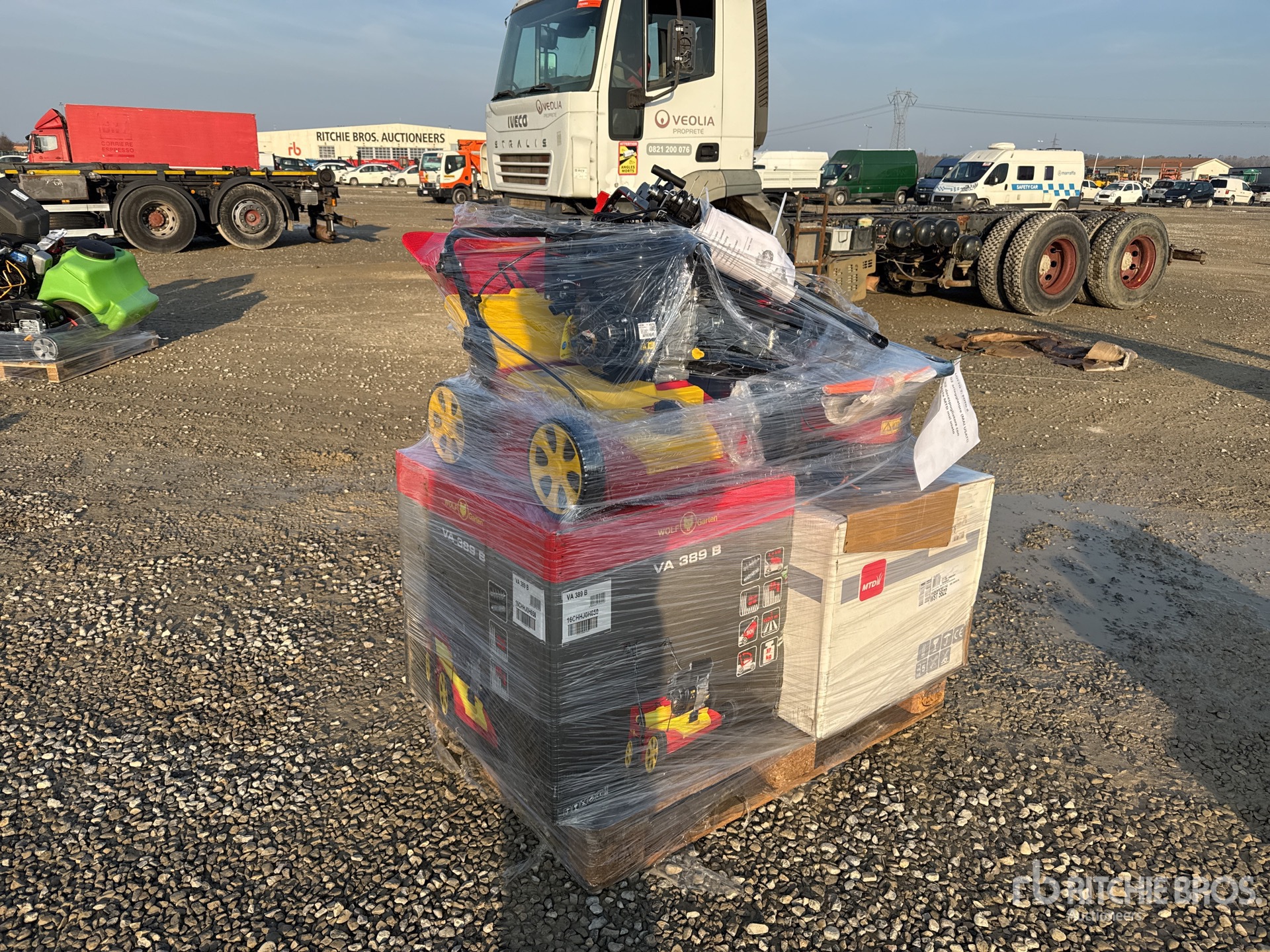 General Appearance with